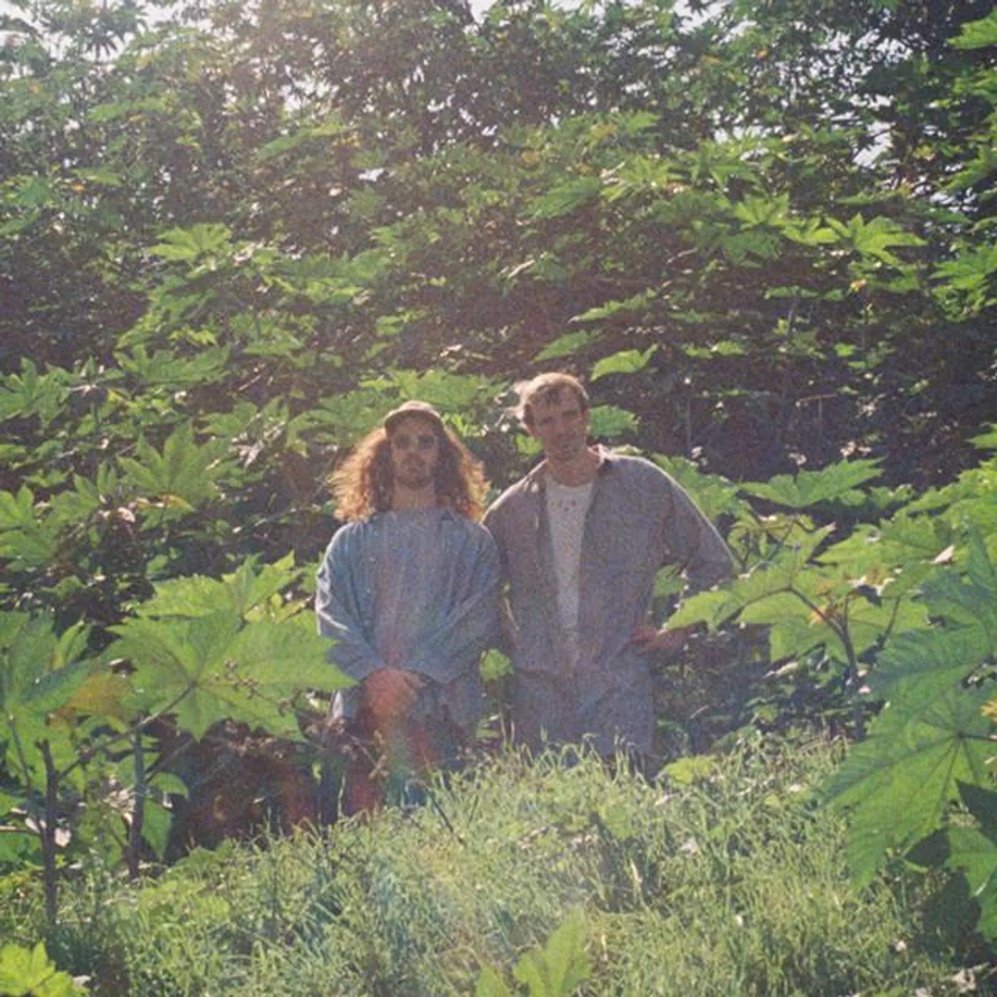 The South Hill Experiment Brand Page