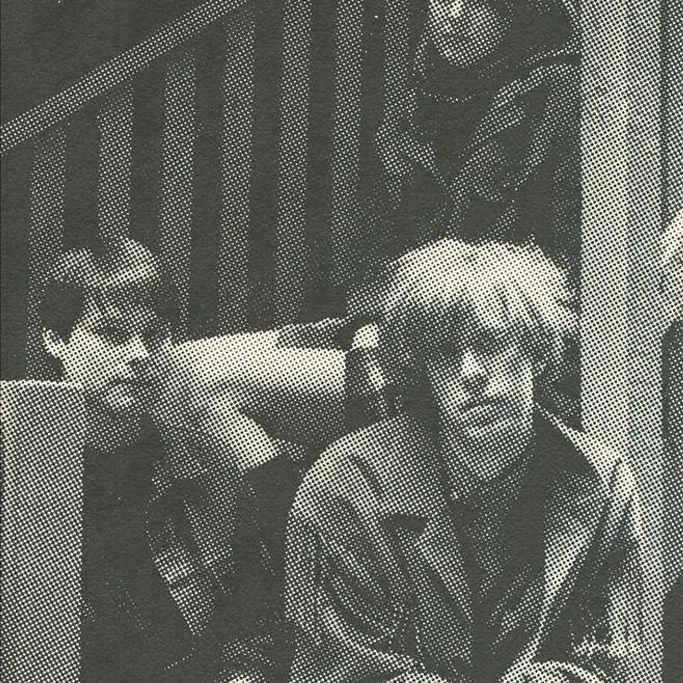 The Springfields Brand Page