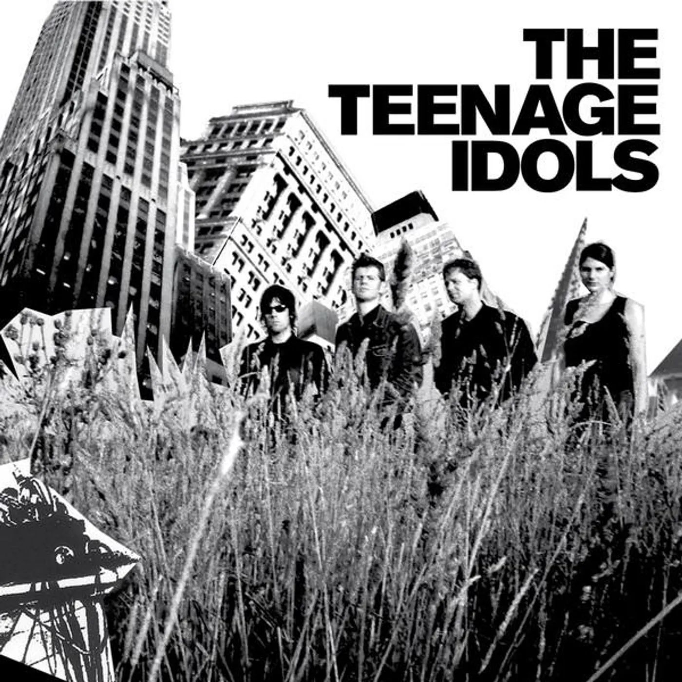 The Teenage Idols