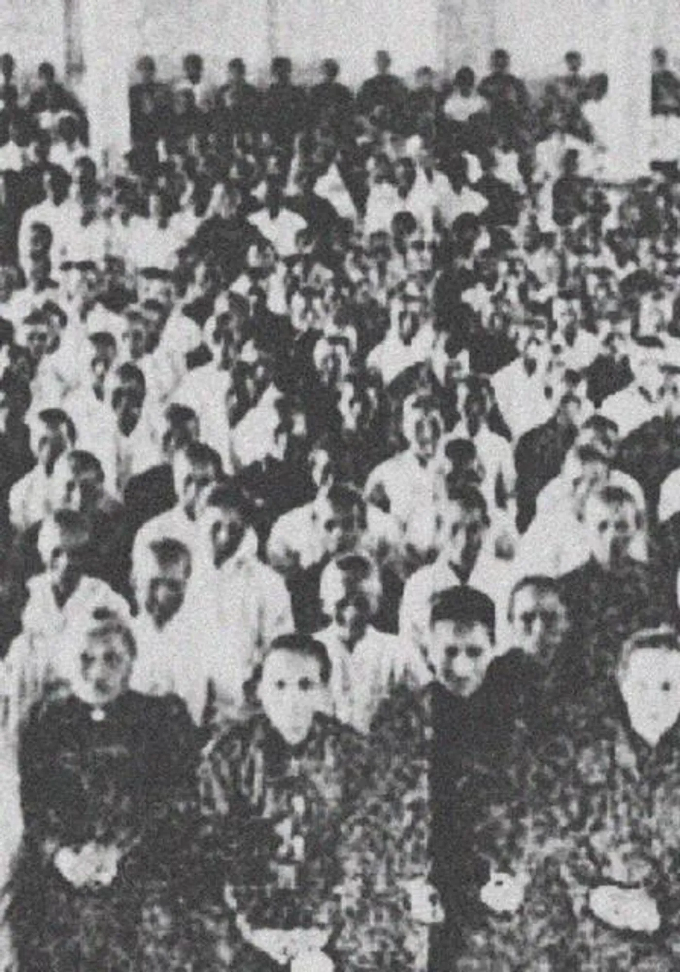 The Trees and The Wild