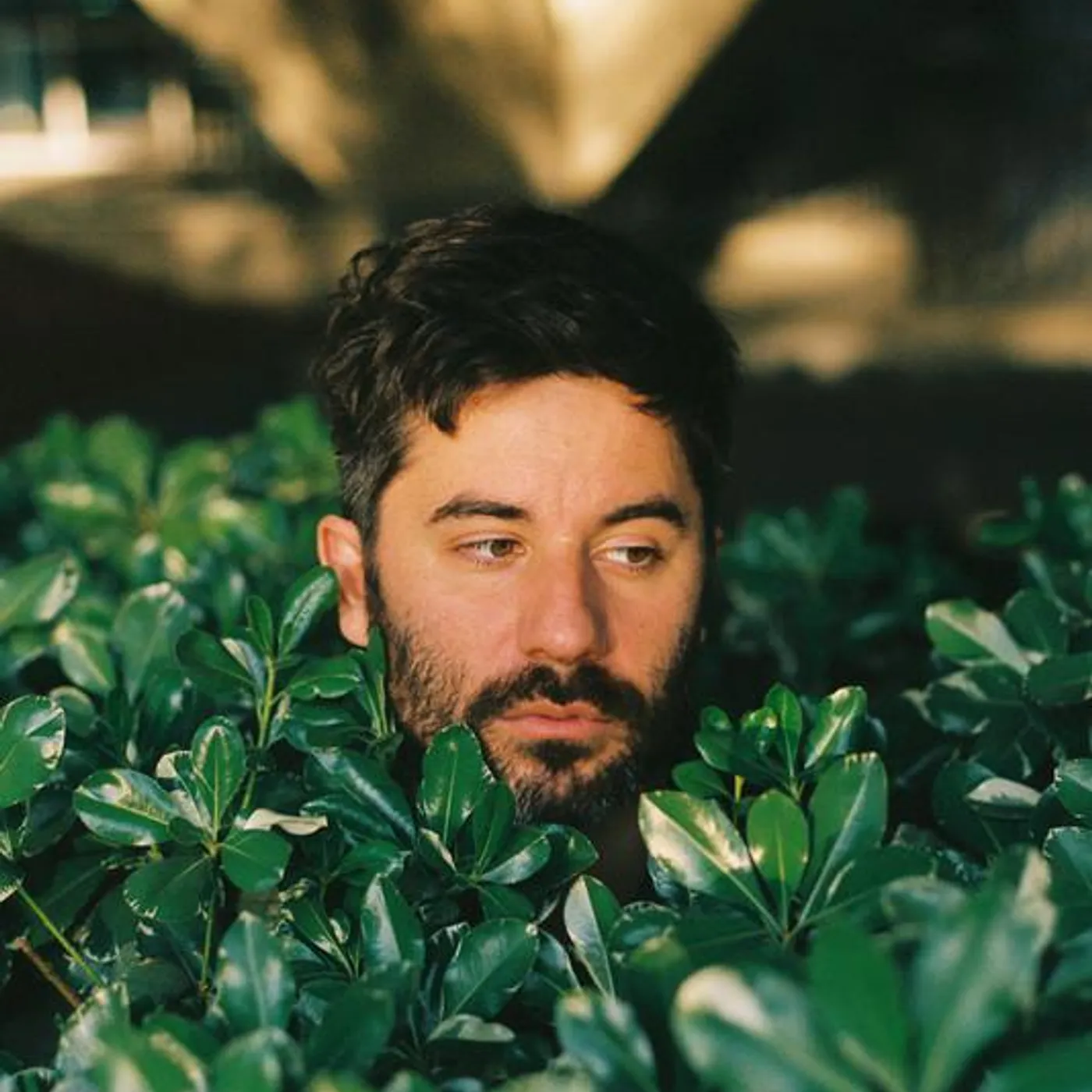 The Undercover Dream Lovers Brand Page