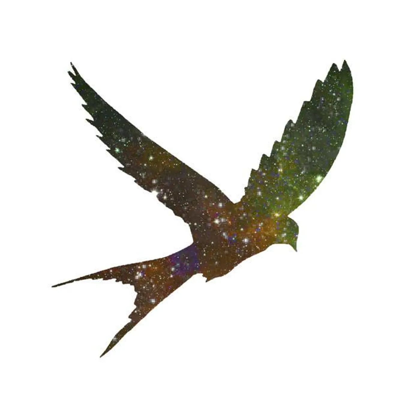 The Unknown Songbird Brand Page