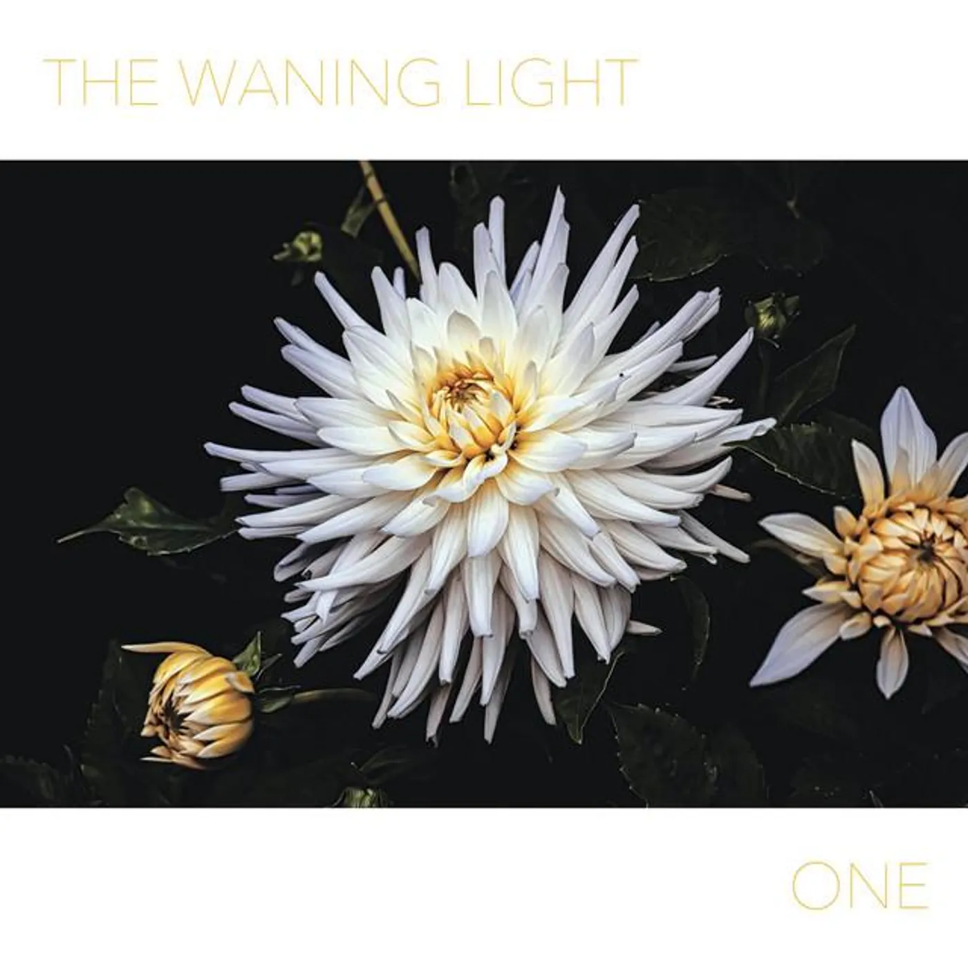The Waning Light