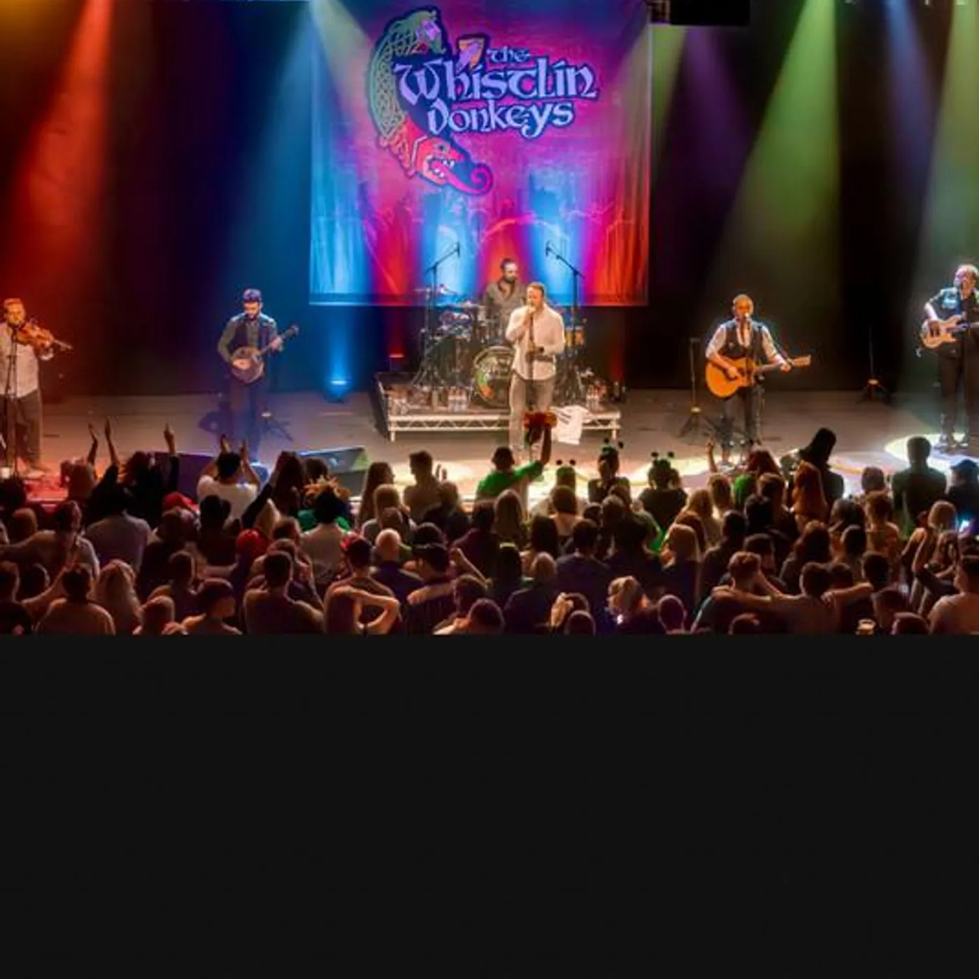 The Whistlin' Donkeys Brand Page