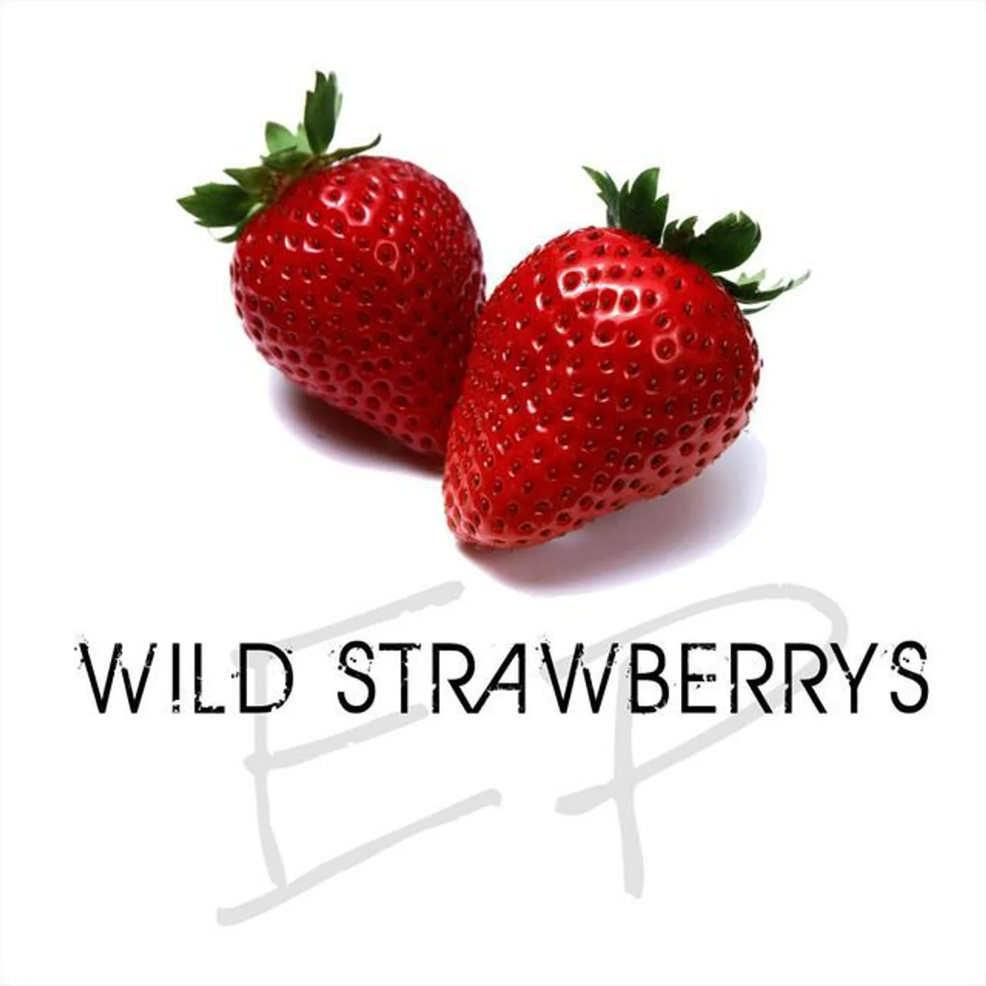 The Wild Strawberrys Brand Page