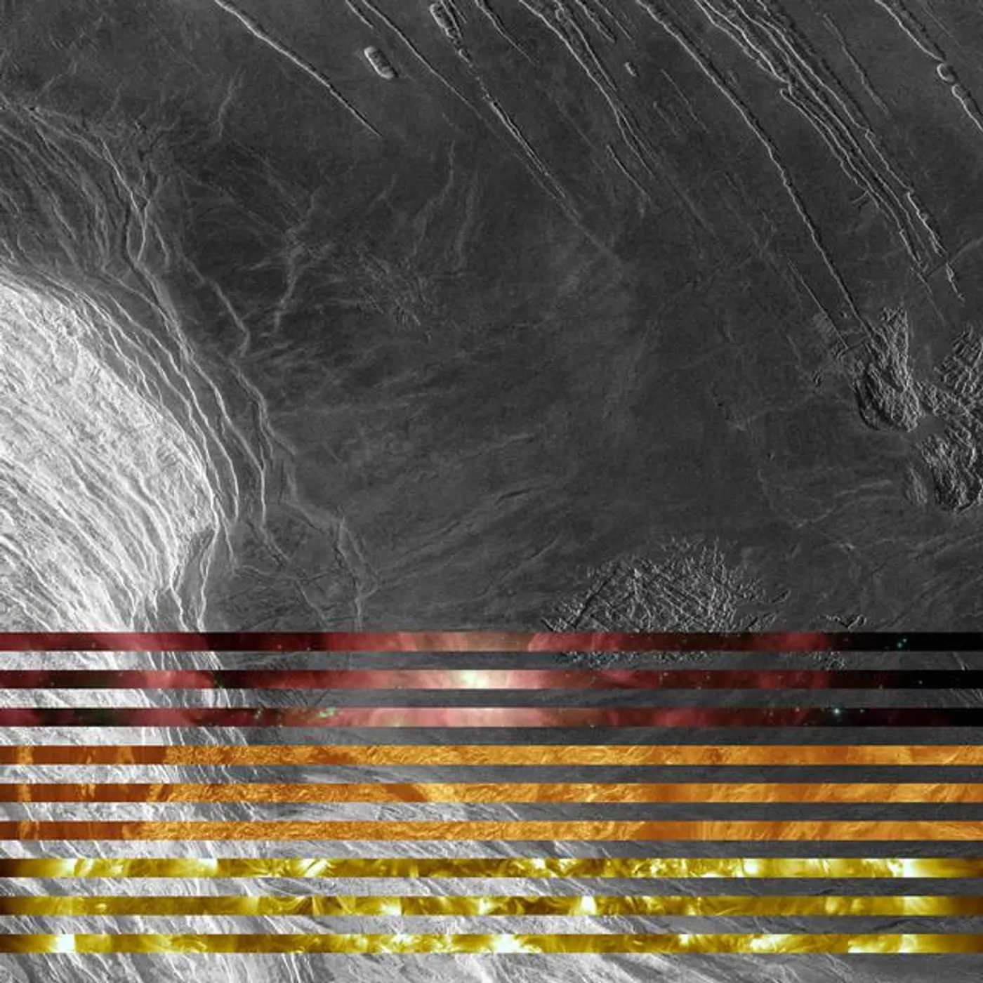 The Wind in the Trees Brand Page