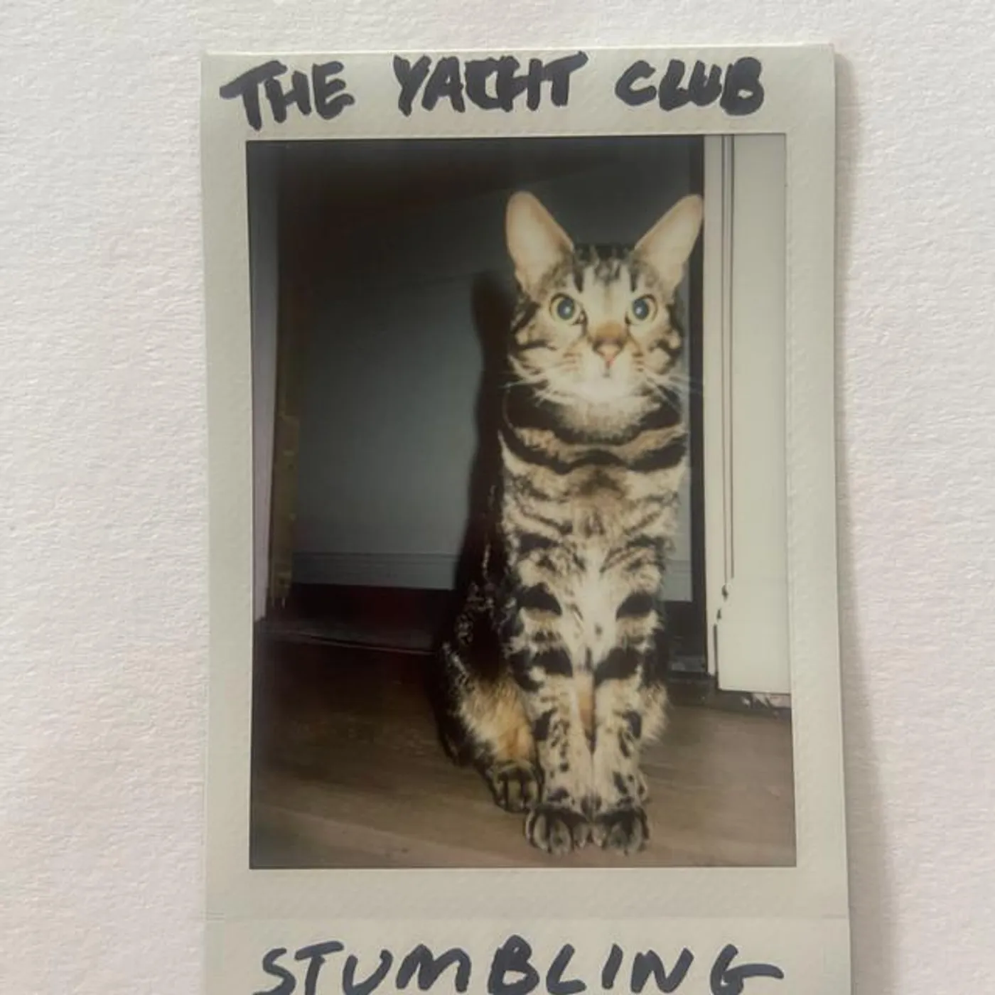 The Yacht Club Brand Page