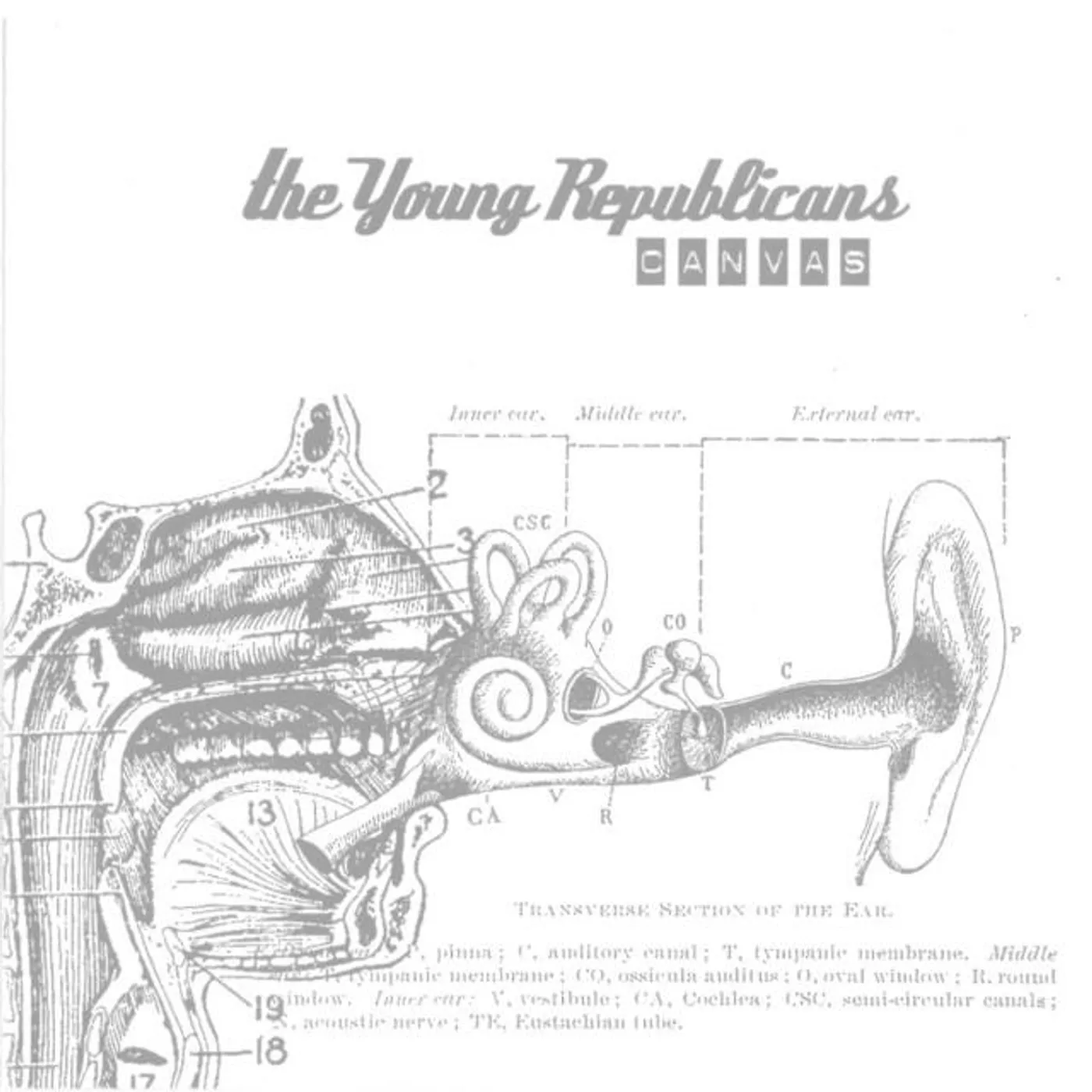 The Young Republicans Brand Page