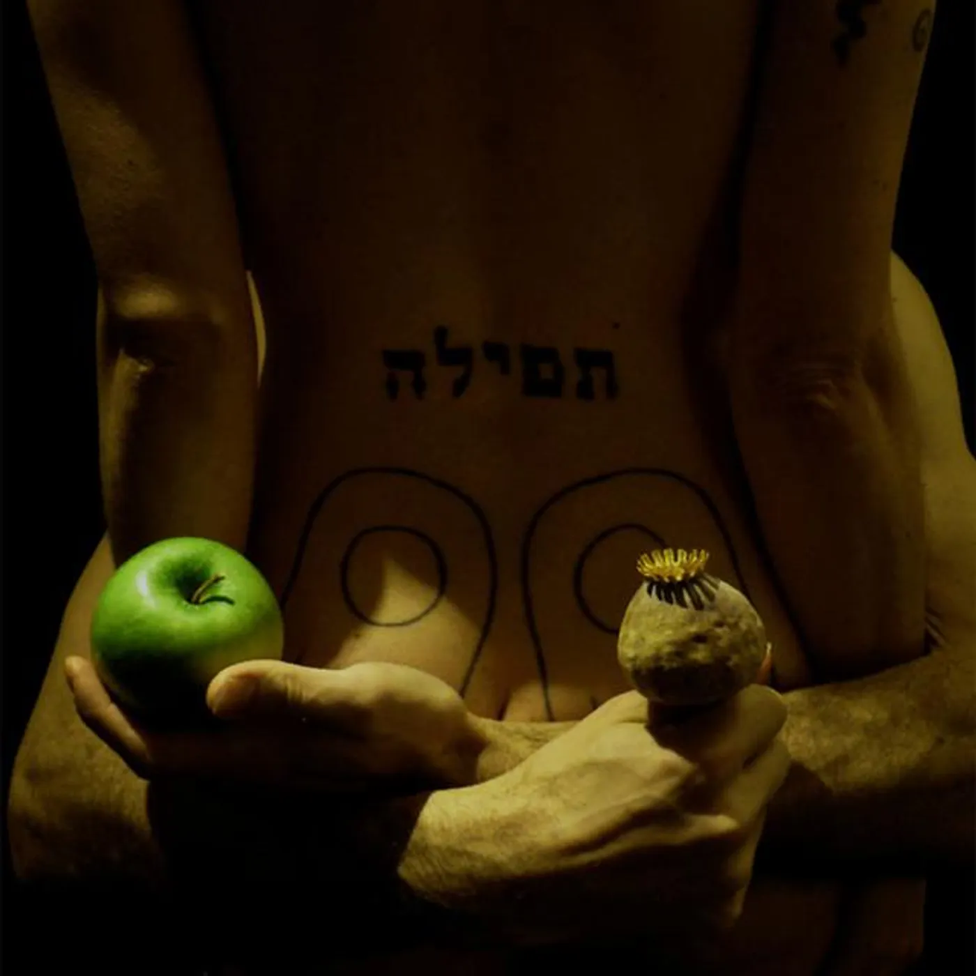 Theo Angell Brand Page