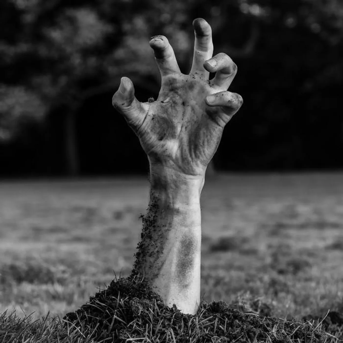 They're Coming To Get You Barbara