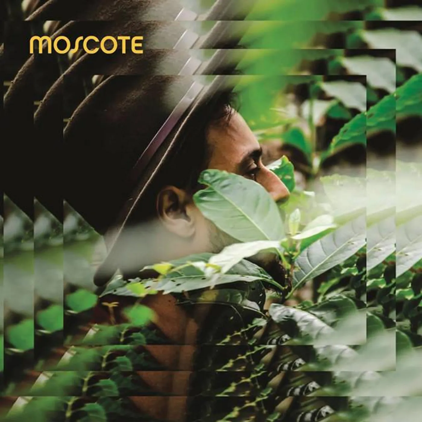 Thiago Trad Brand Page