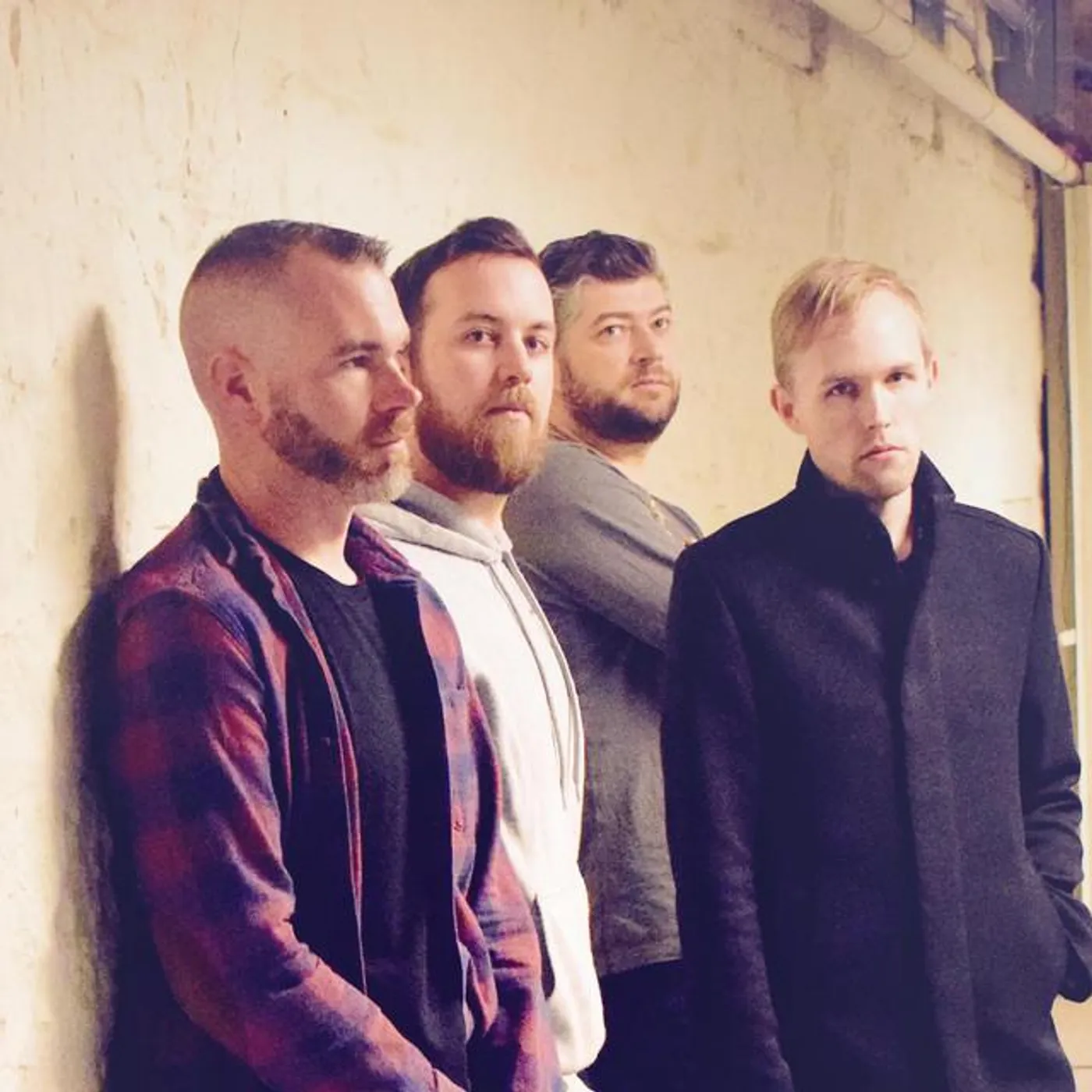 This World Has Bees Brand Page