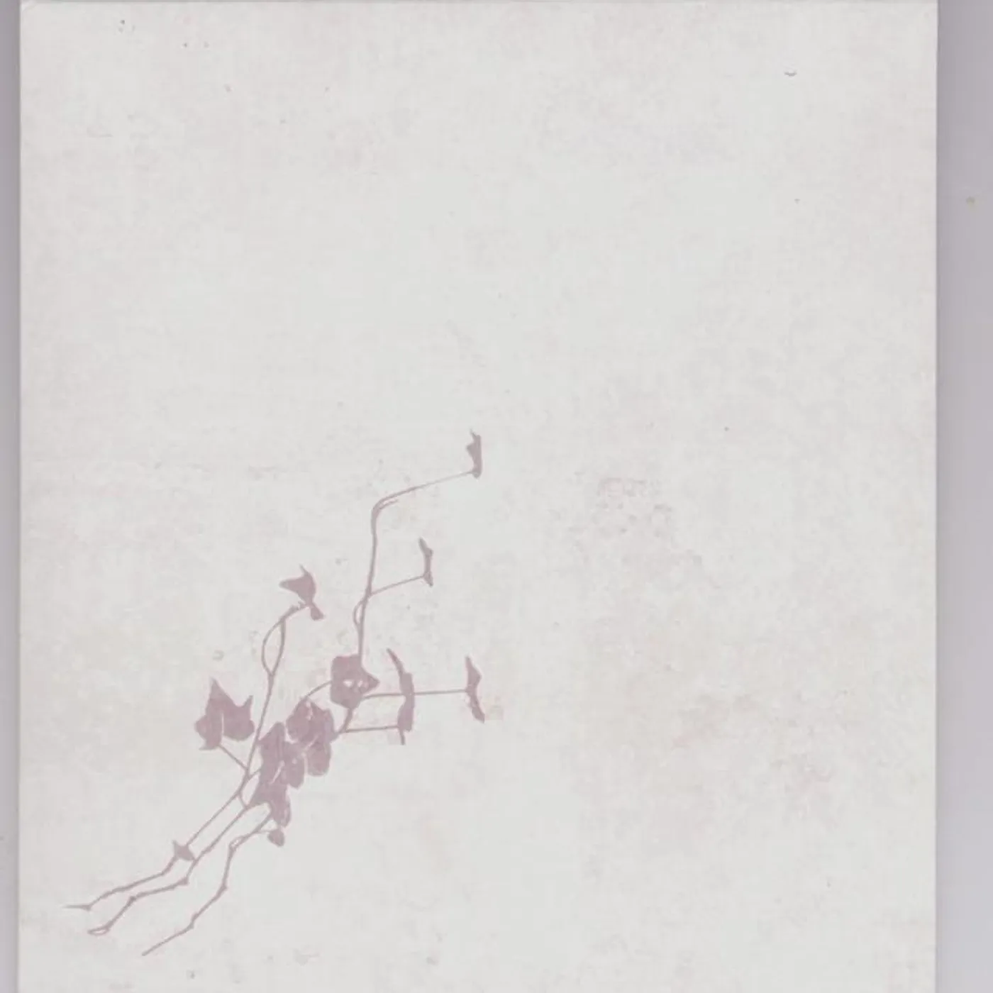 This is a Process of a Still Life