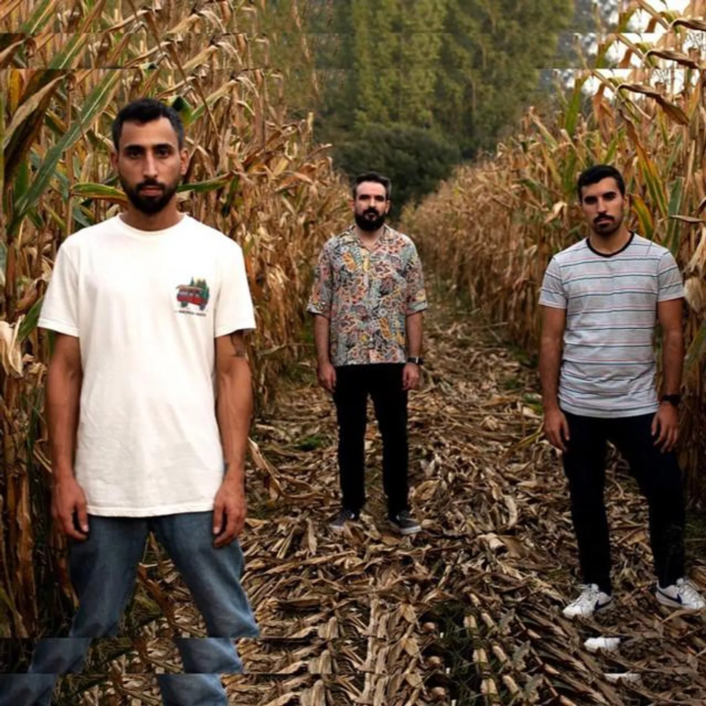 This Penguin Can Fly