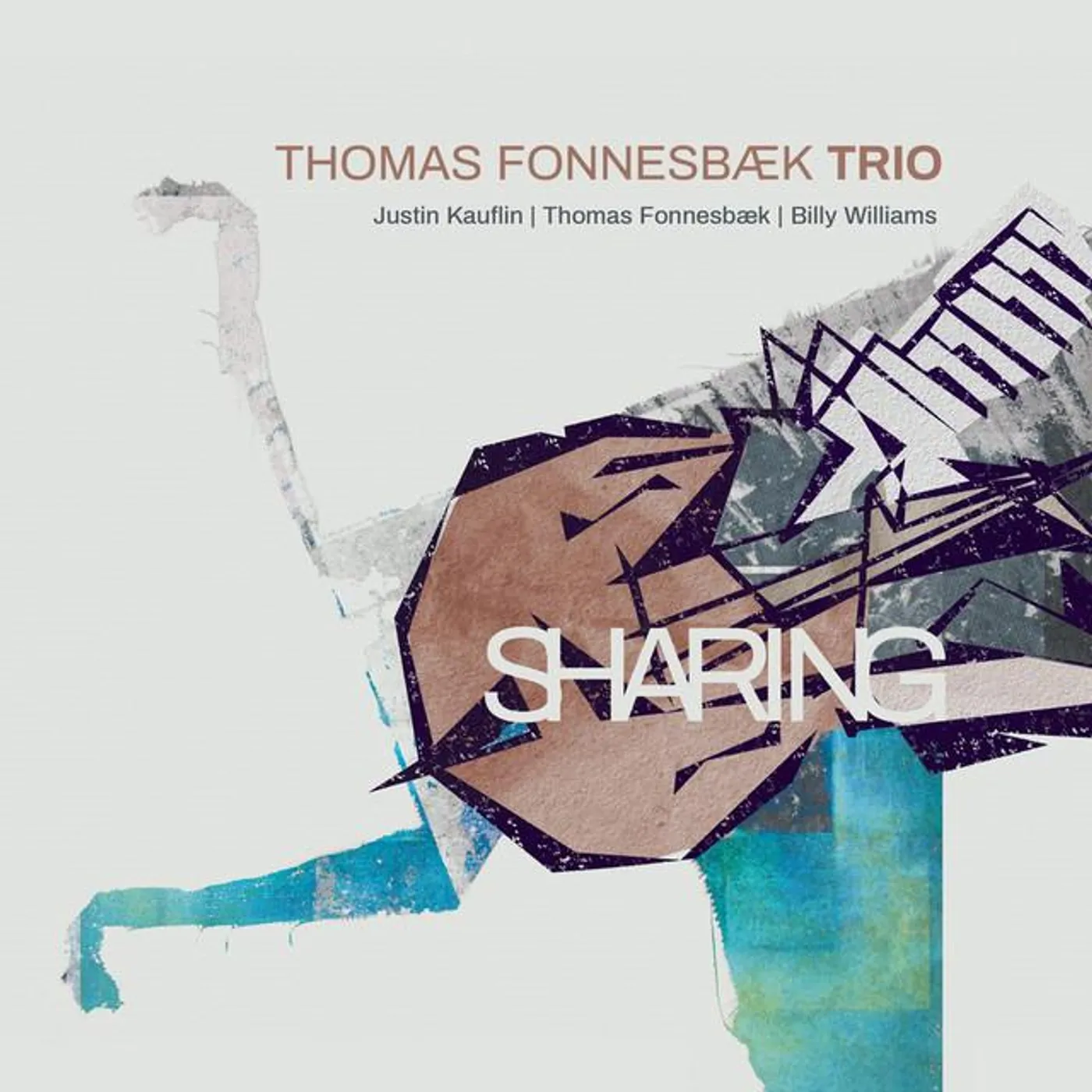 Thomas Fonnesbæk Trio