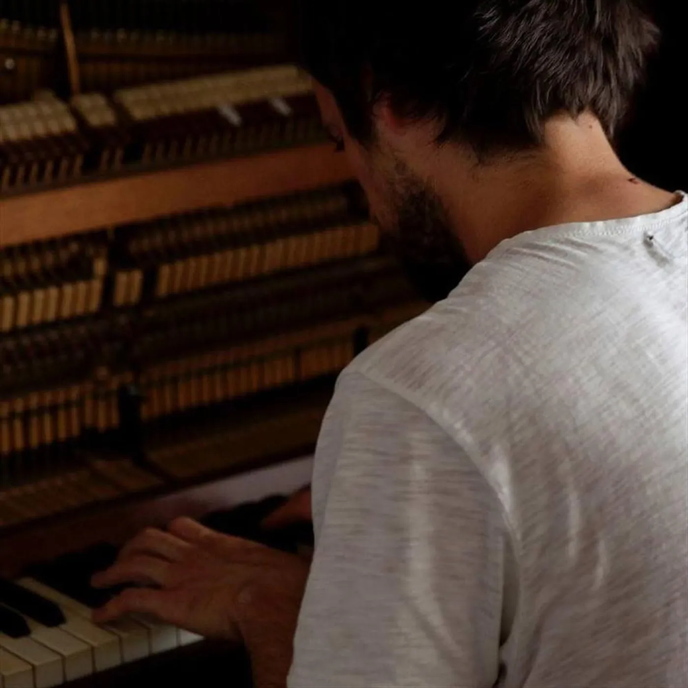 Thomas William Hill Brand Page