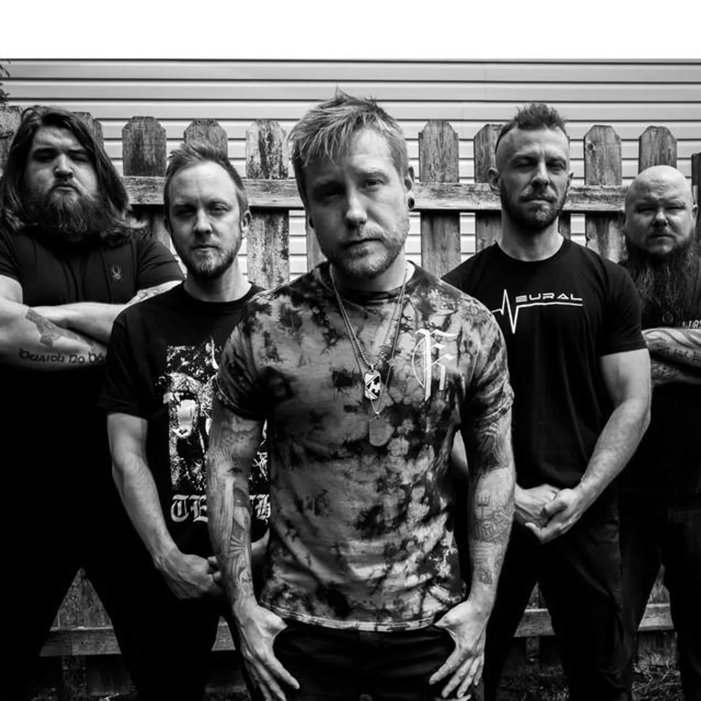 Throne to the Wolves