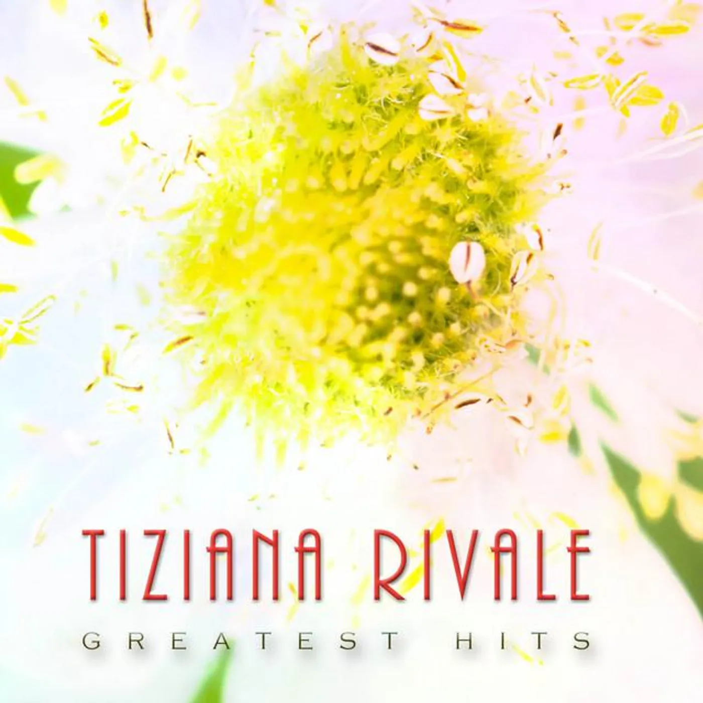Tiziana Rivale Brand Page