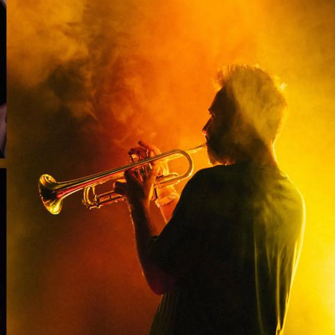 Tiziano Bianchi Brand Page