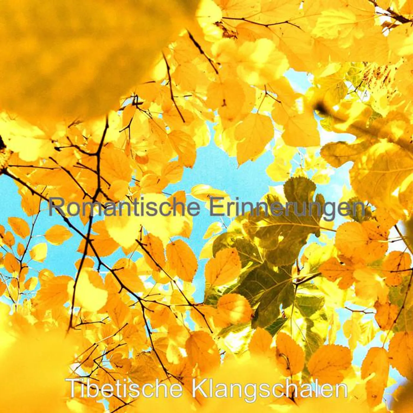 Tibetische Klangschalen Brand Page