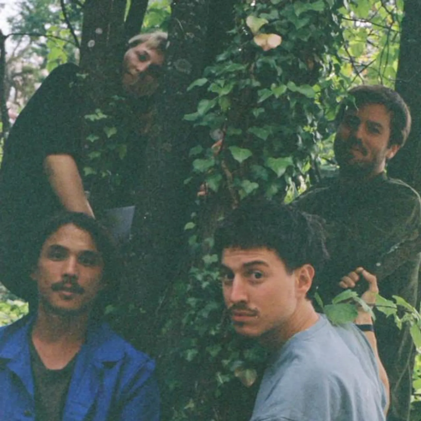 Tiger Flames Brand Page