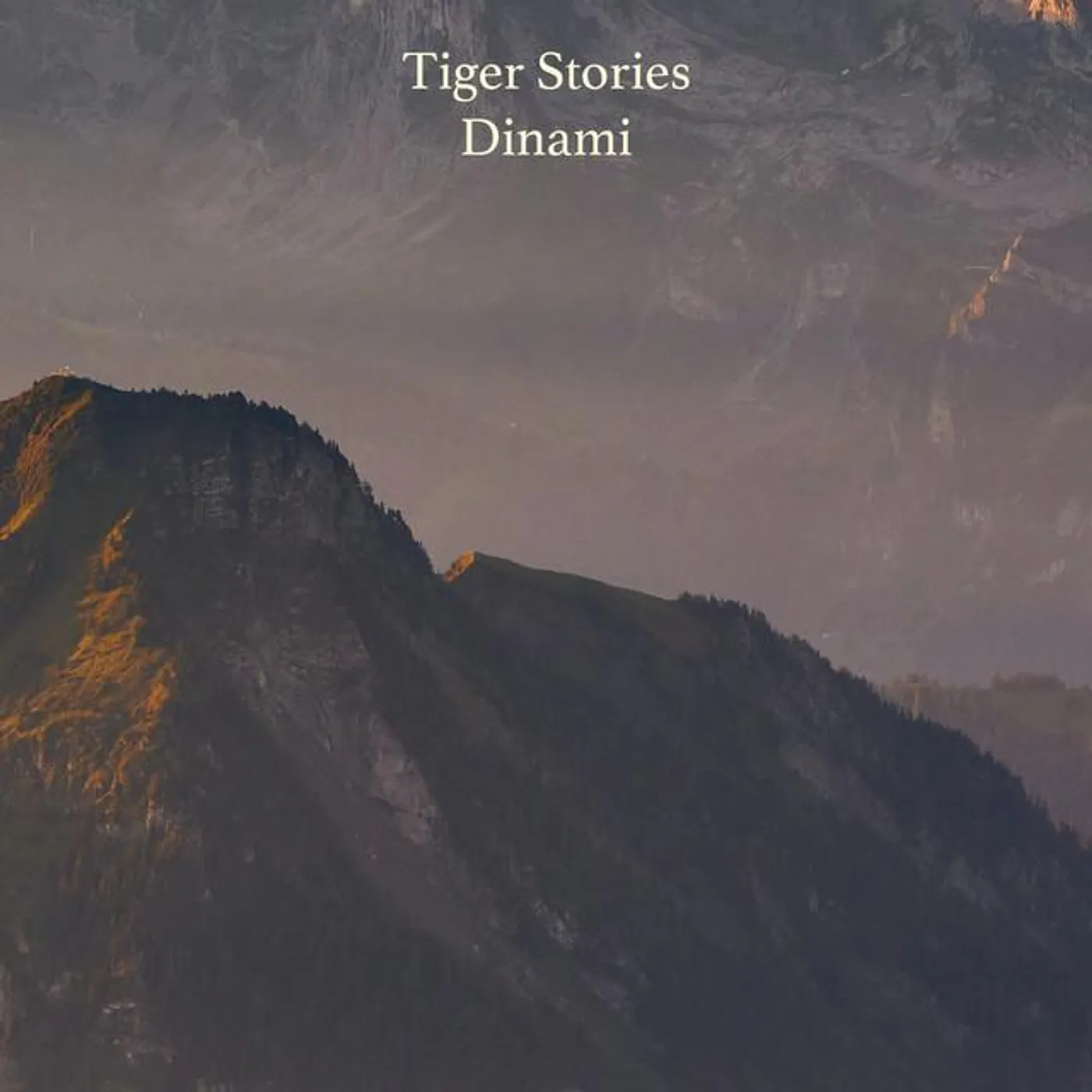 Tiger Stories Brand Page