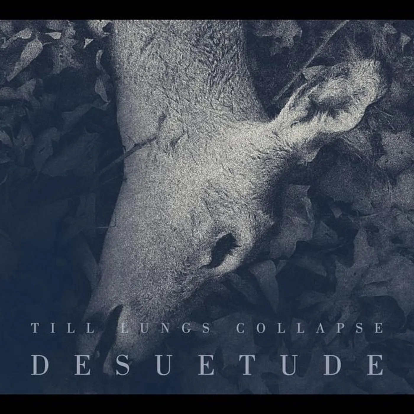 Till Lungs Collapse Brand Page