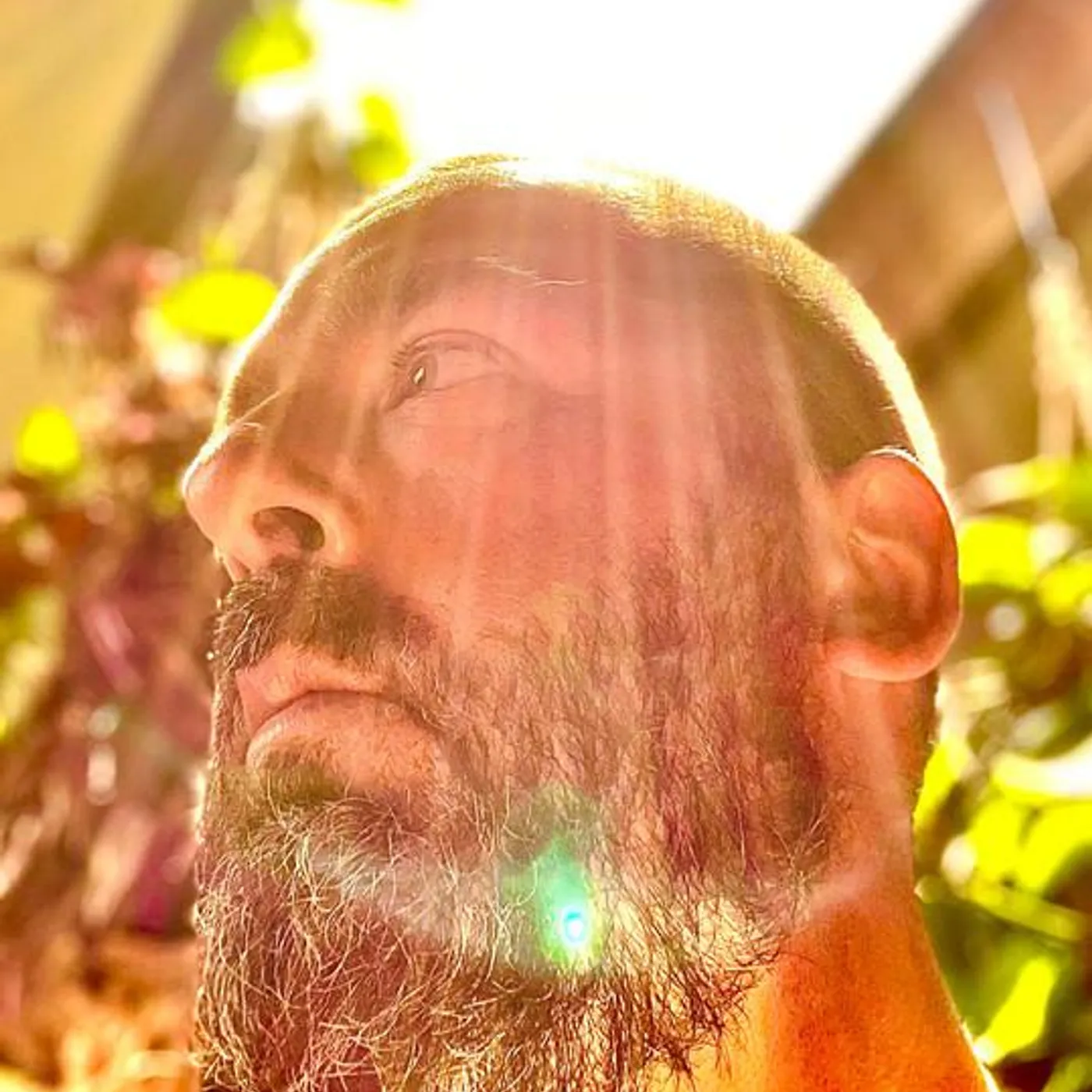 Tim Cohen Brand Page