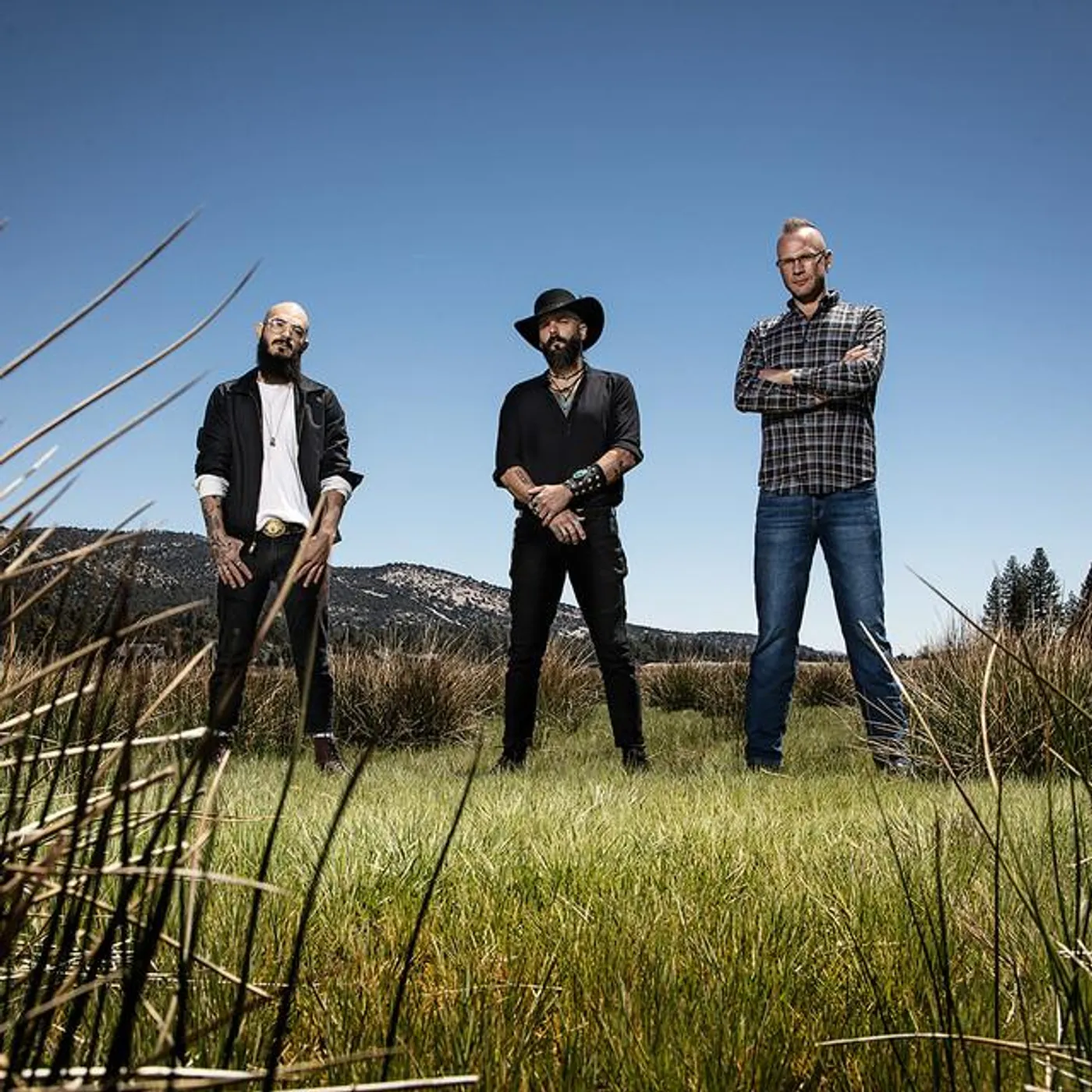 Times Of Grace Brand Page