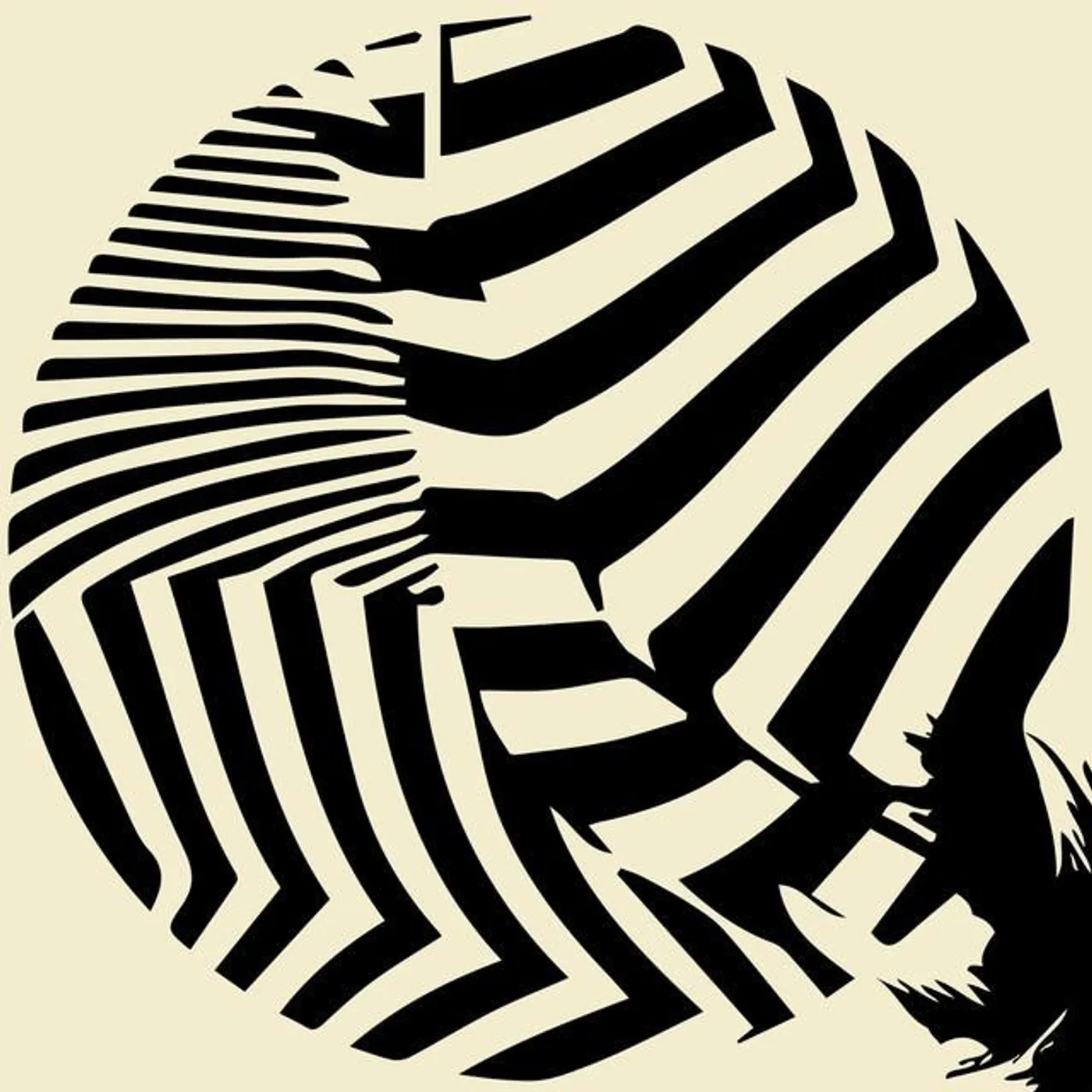 Timid Tiger Brand Page