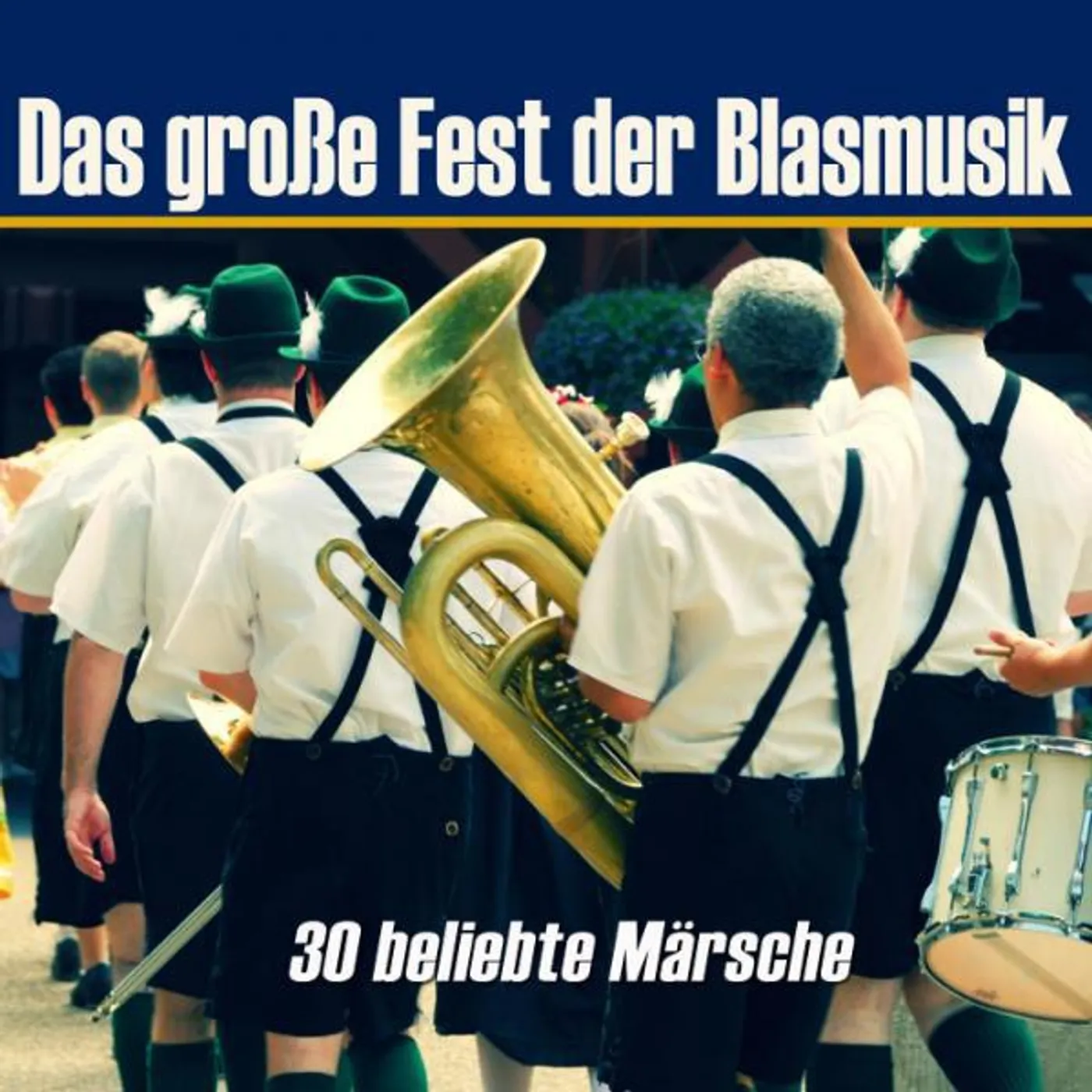 Tiroler Volkstümliche Musikanten