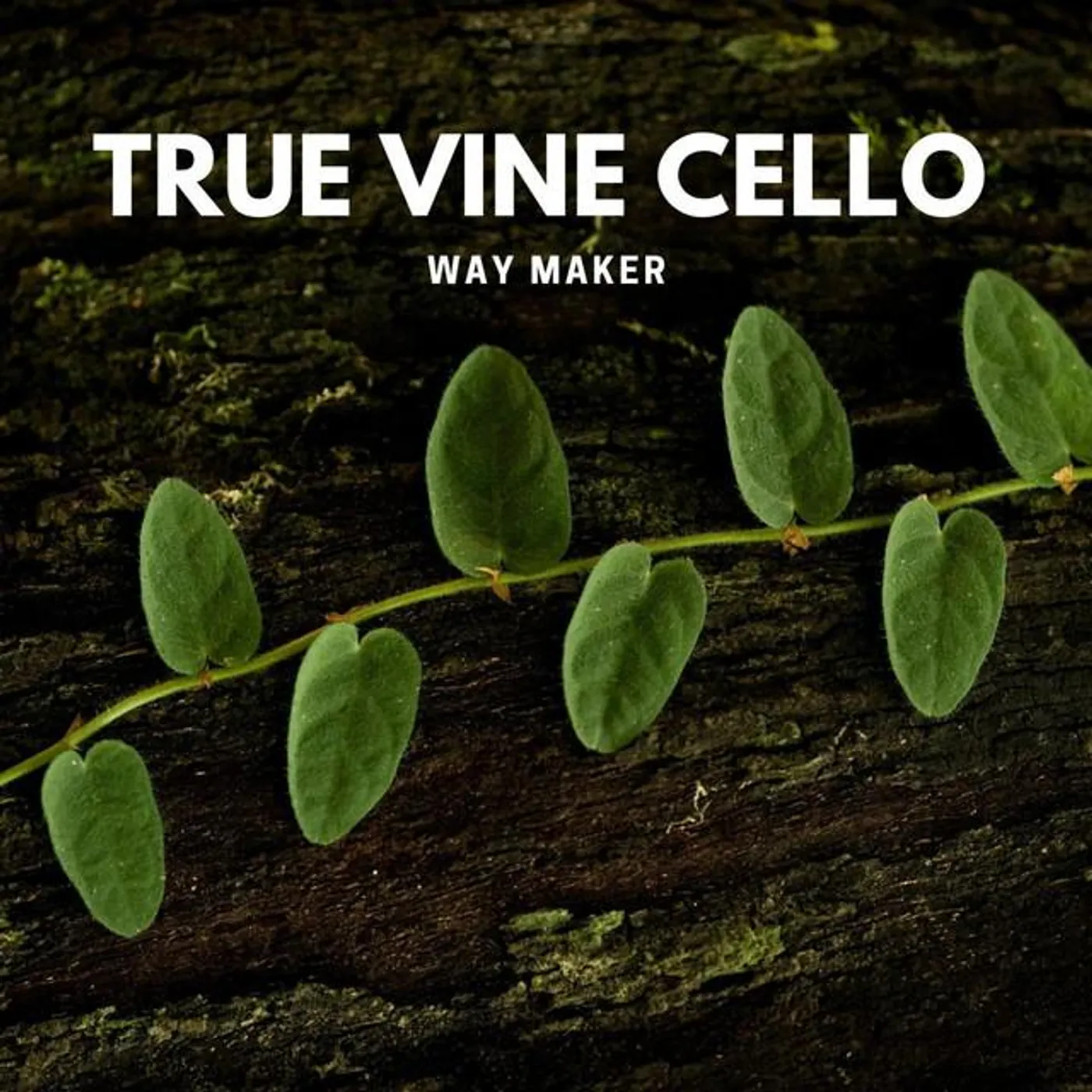 True Vine Cello Brand Page