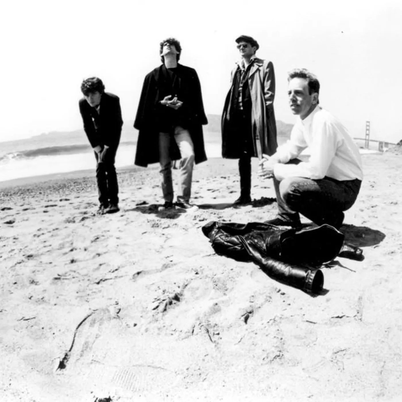 Translator Brand Page