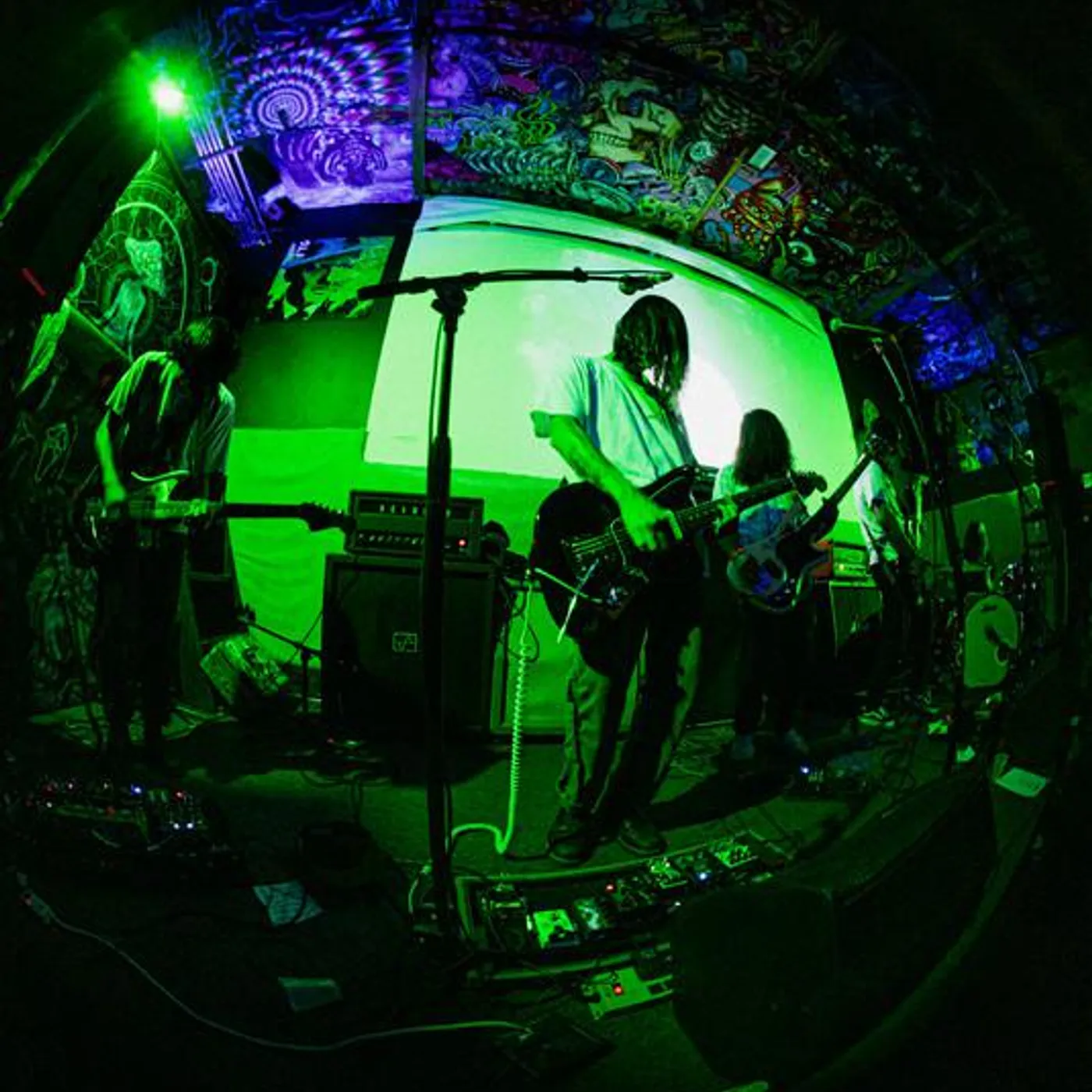 trauma ray Brand Page