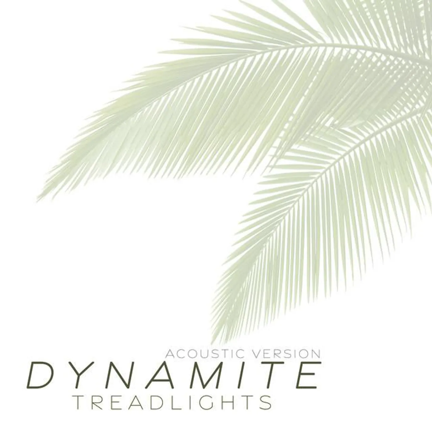 Treadlights Brand Page