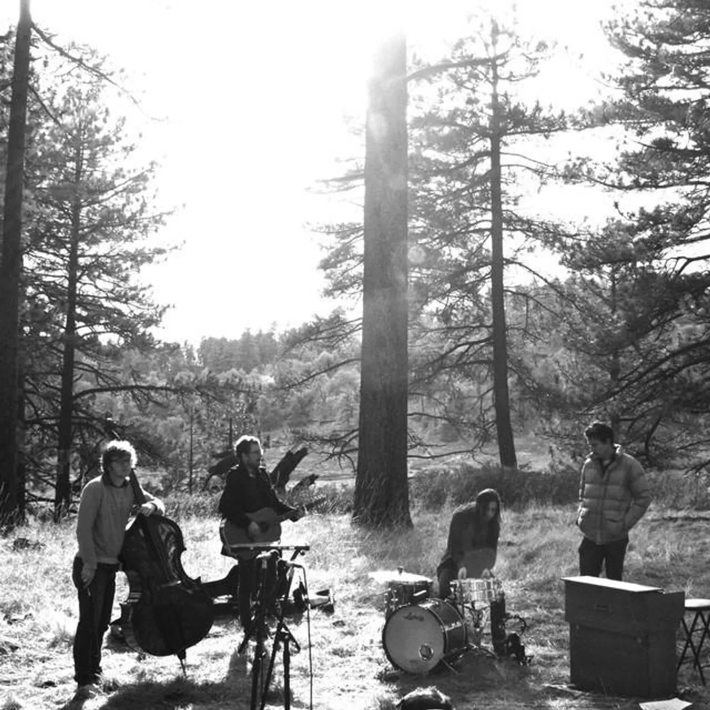 The Tree Ring Brand Page