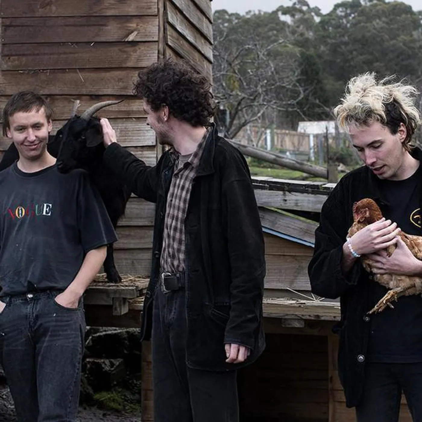 Treehouse Brand Page