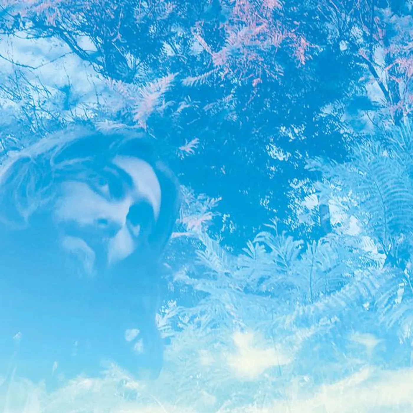 Trevor Beld Jimenez Brand Page