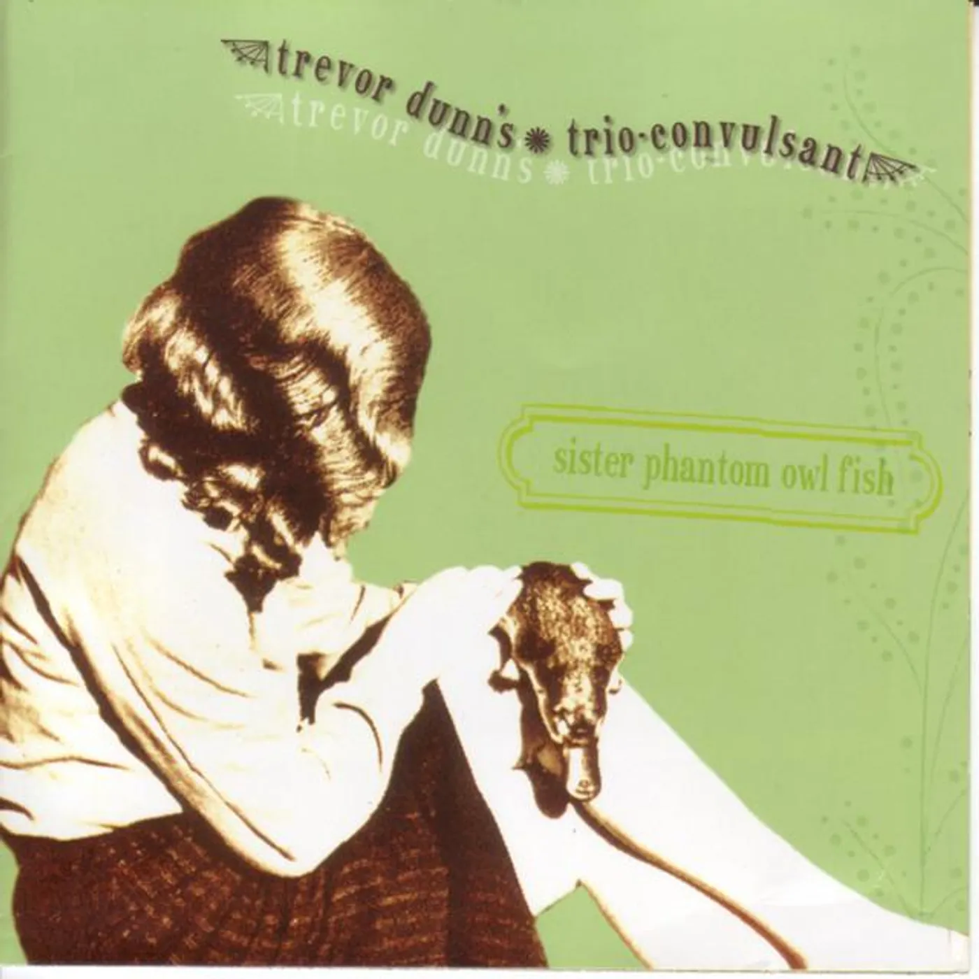 Trevor Dunn's Trio Convulsant Brand Page