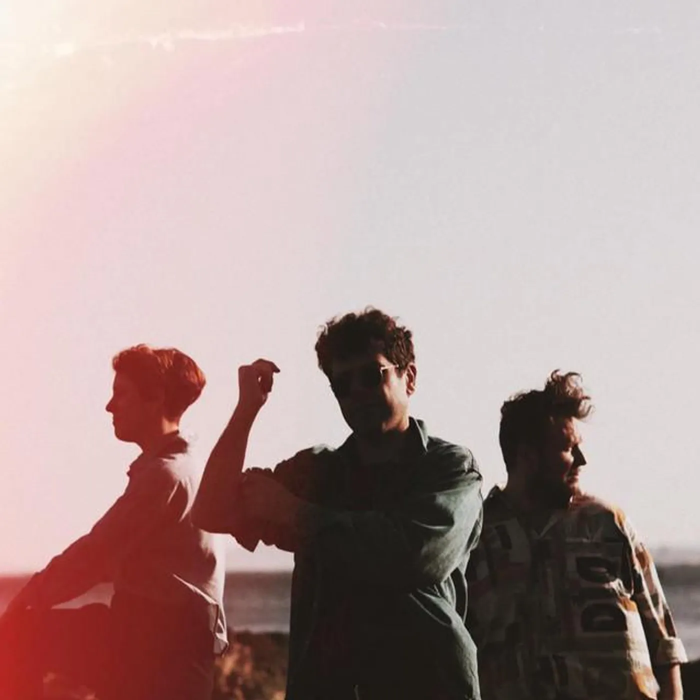 Triángulo de Amor Bizarro Brand Page