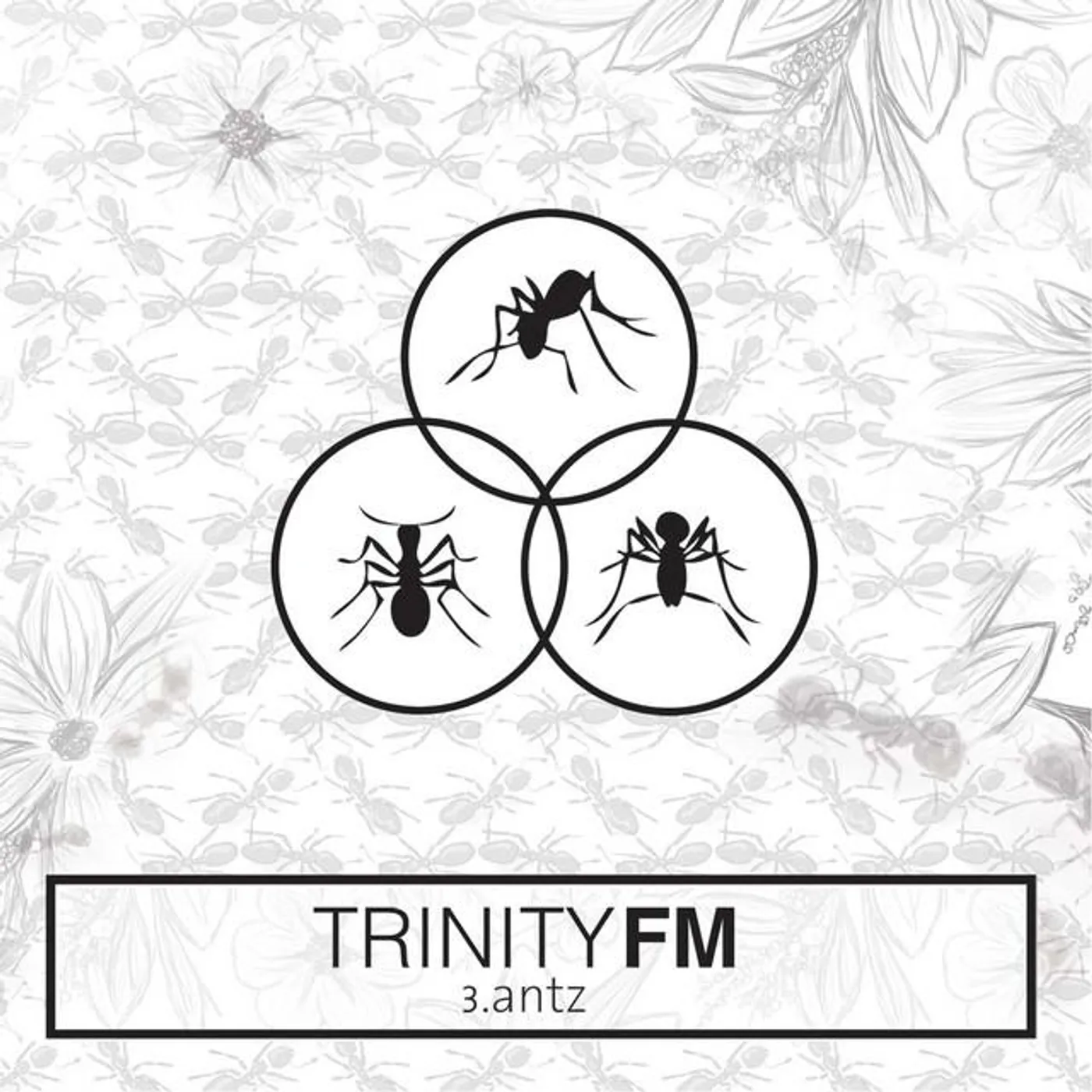 Trinity FM