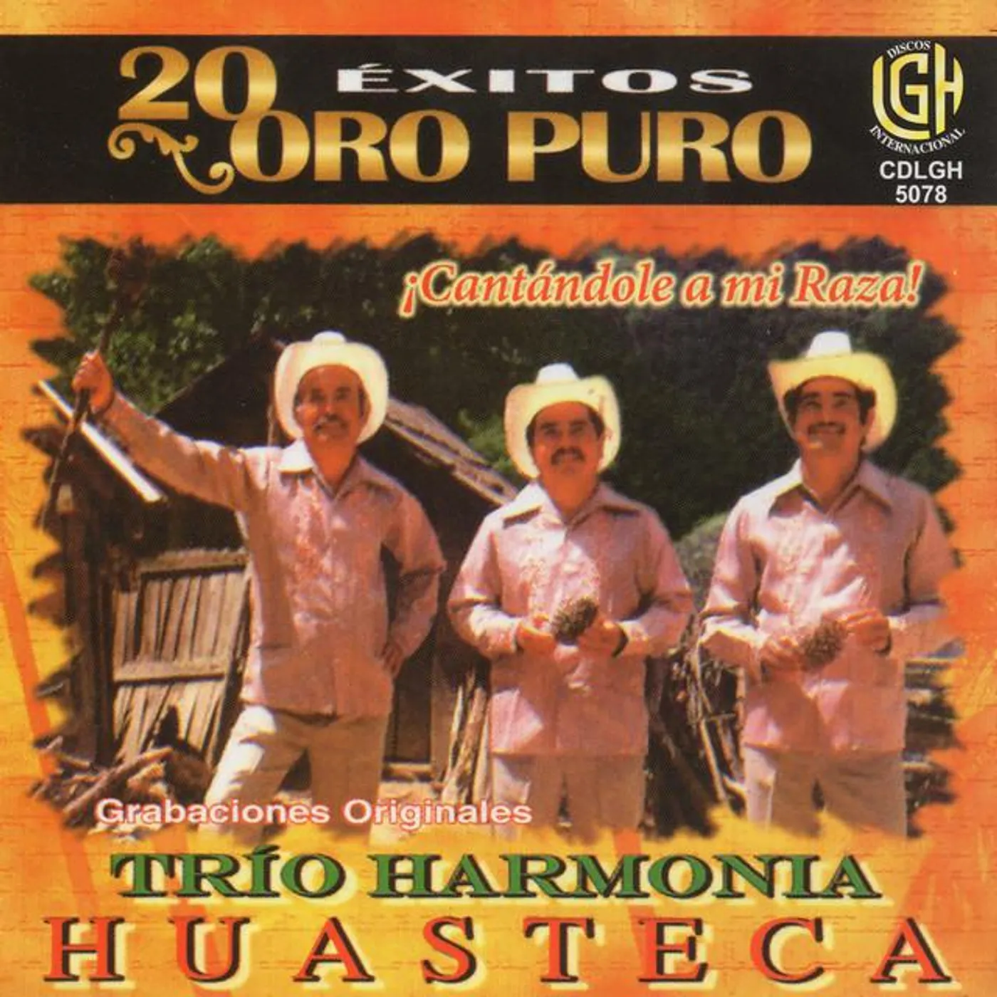 Trio Harmonia Huasteca