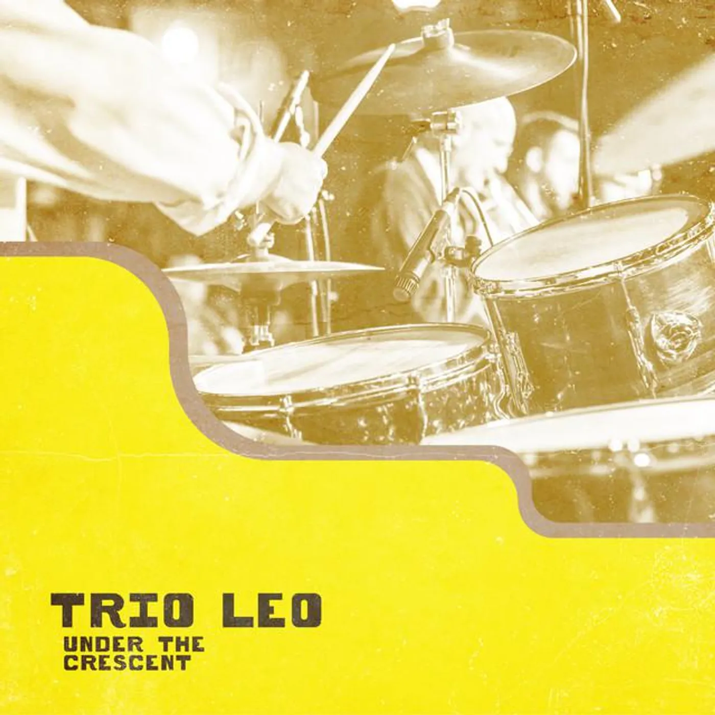 Trio Leo Brand Page