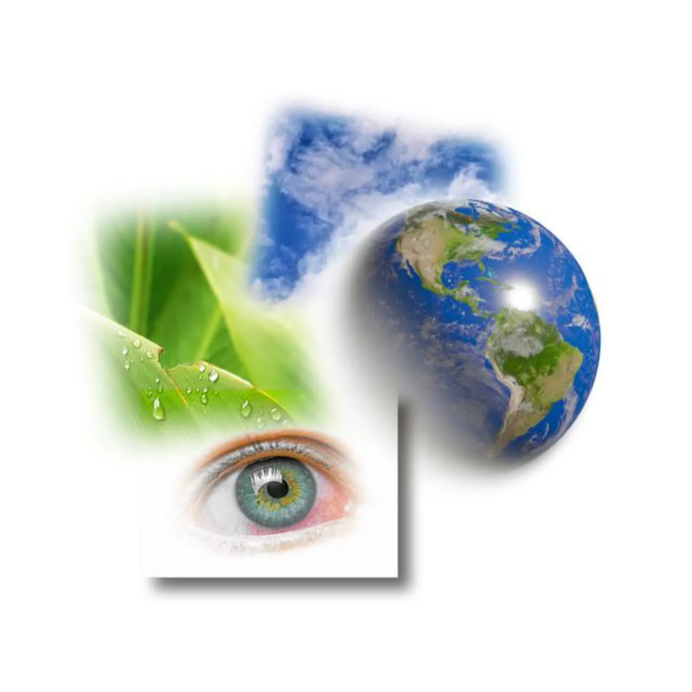 trndytrndy Brand Page