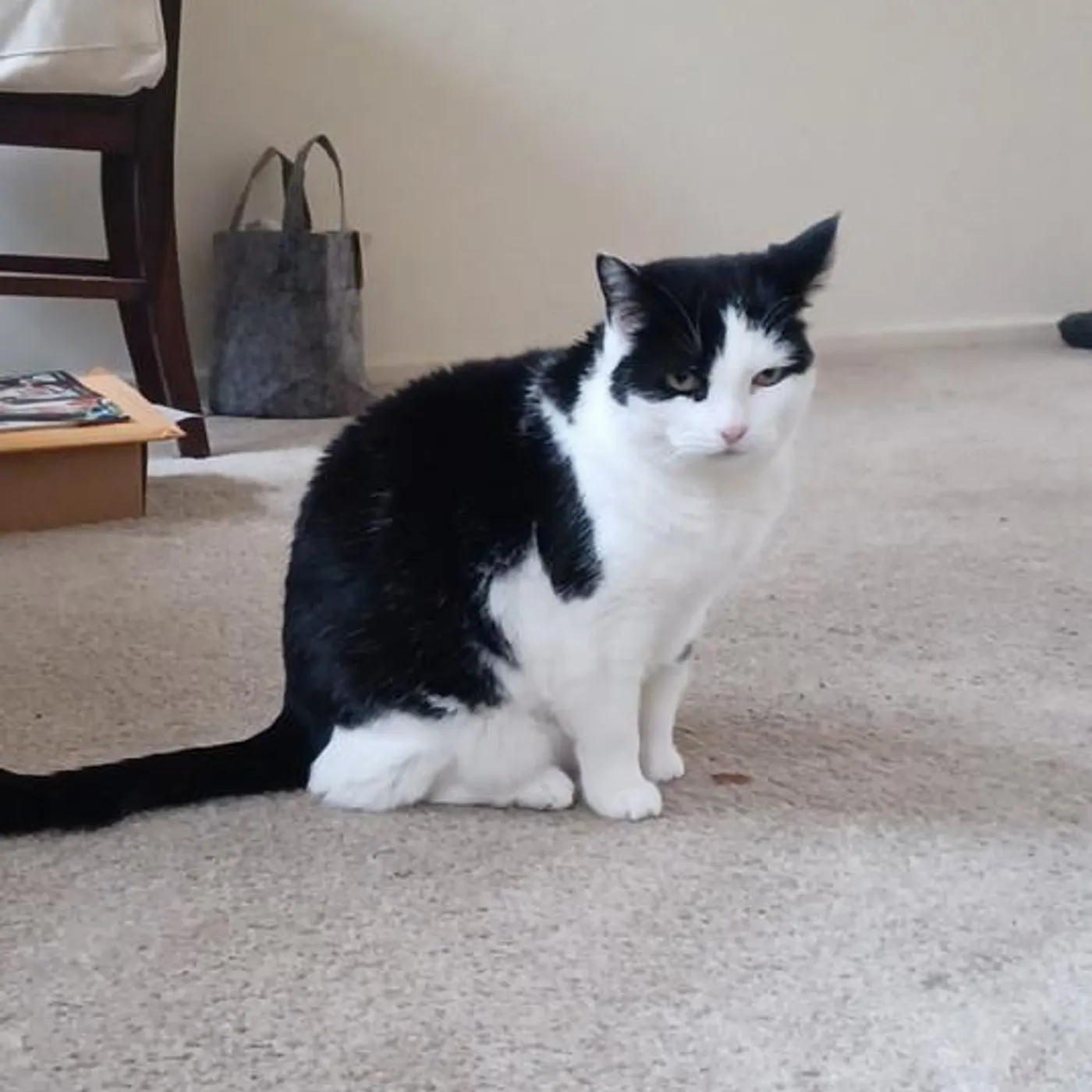 Troy Gregory Brand Page