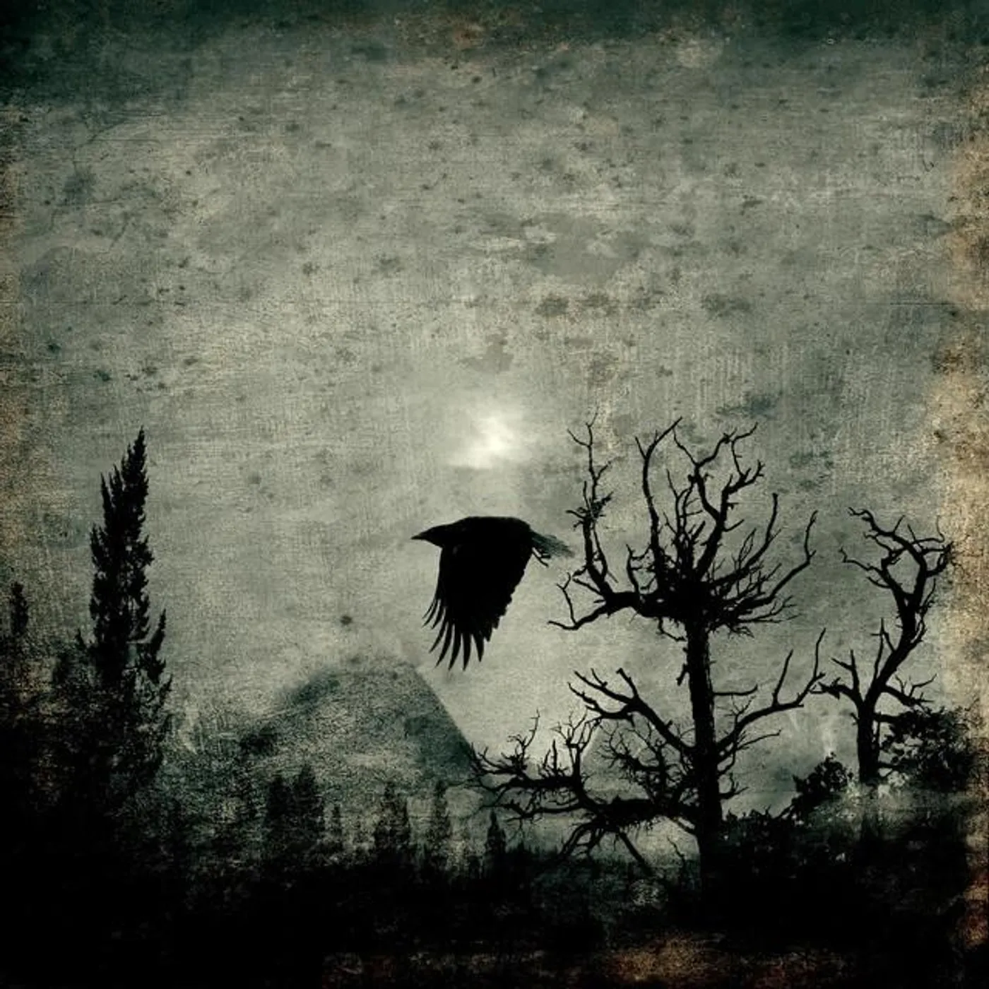 Twilight's Embrace Brand Page