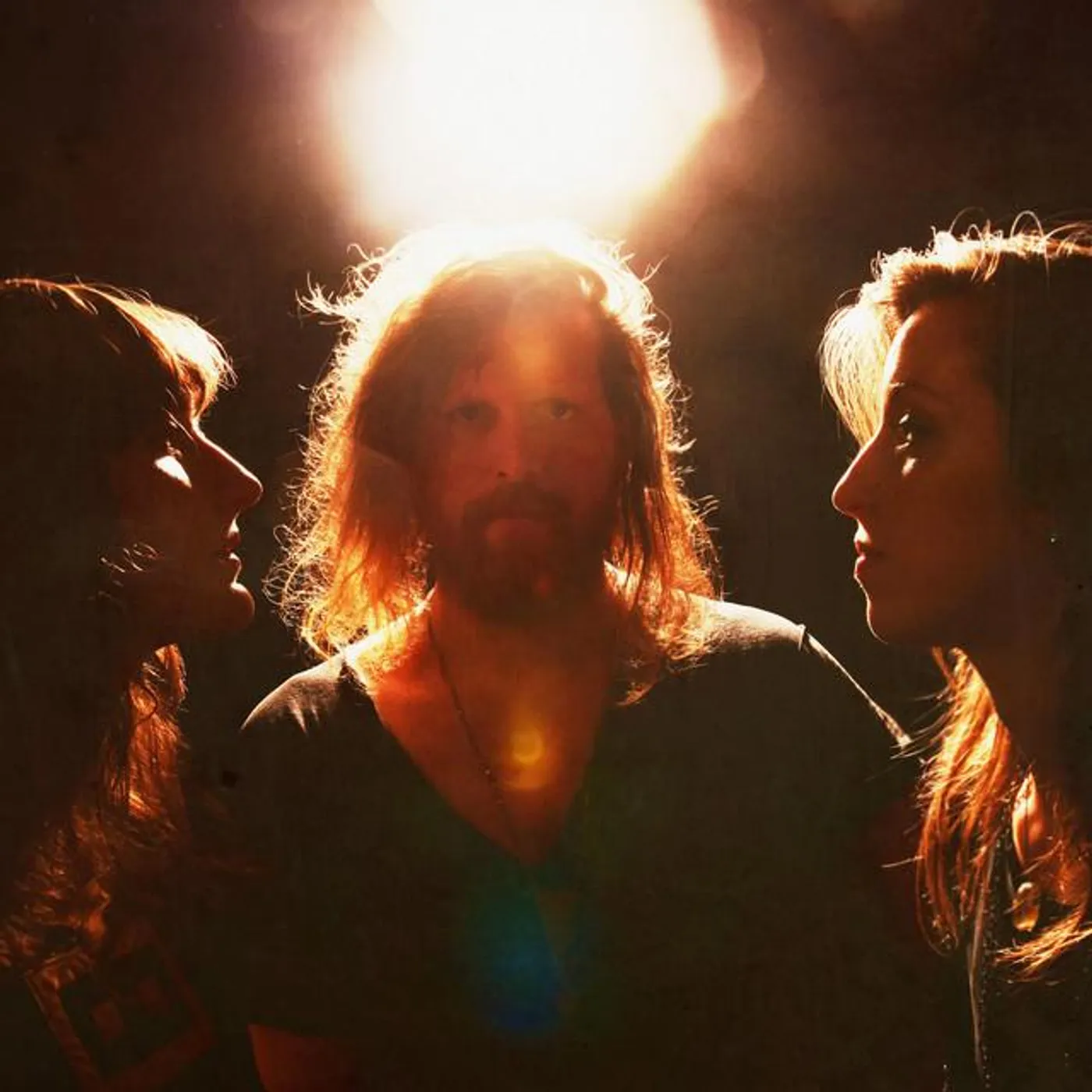 Twin Limb Brand Page