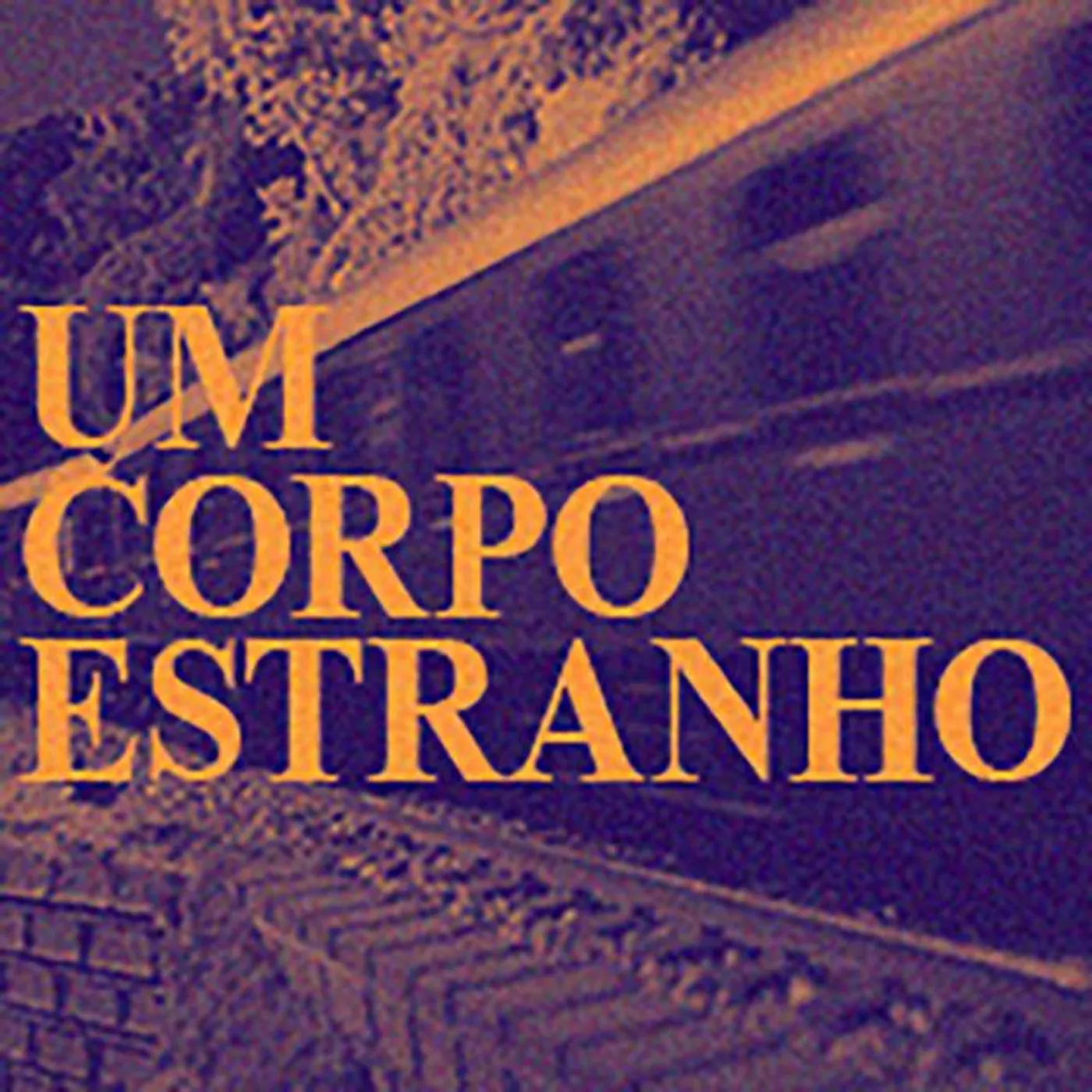 Um Corpo Estranho Brand Page