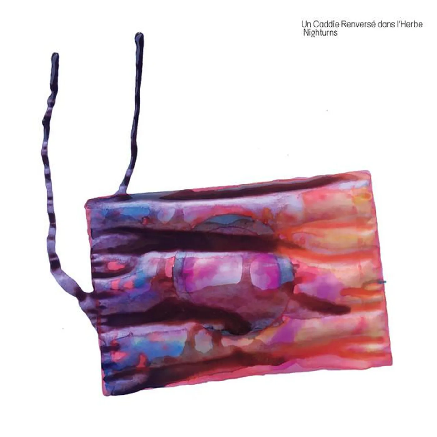 Un Caddie Renversé Dans l'Herbe