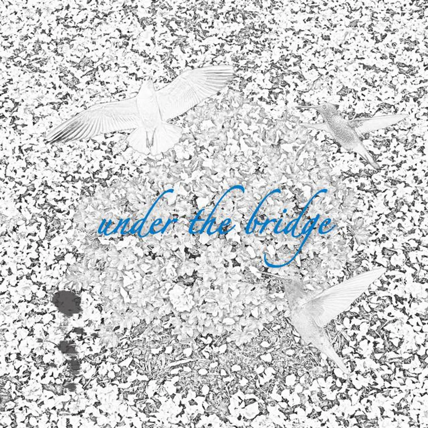 Under the Bridge Brand Page